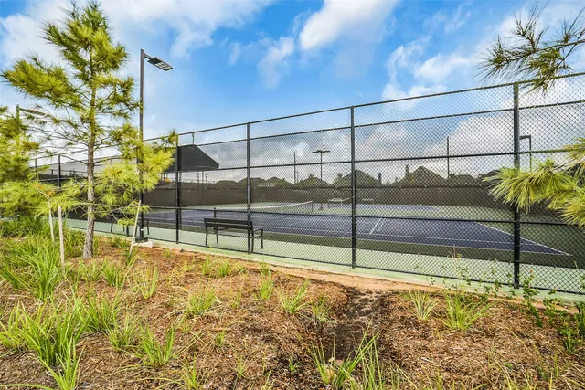 a lake view with boat and palm tree
