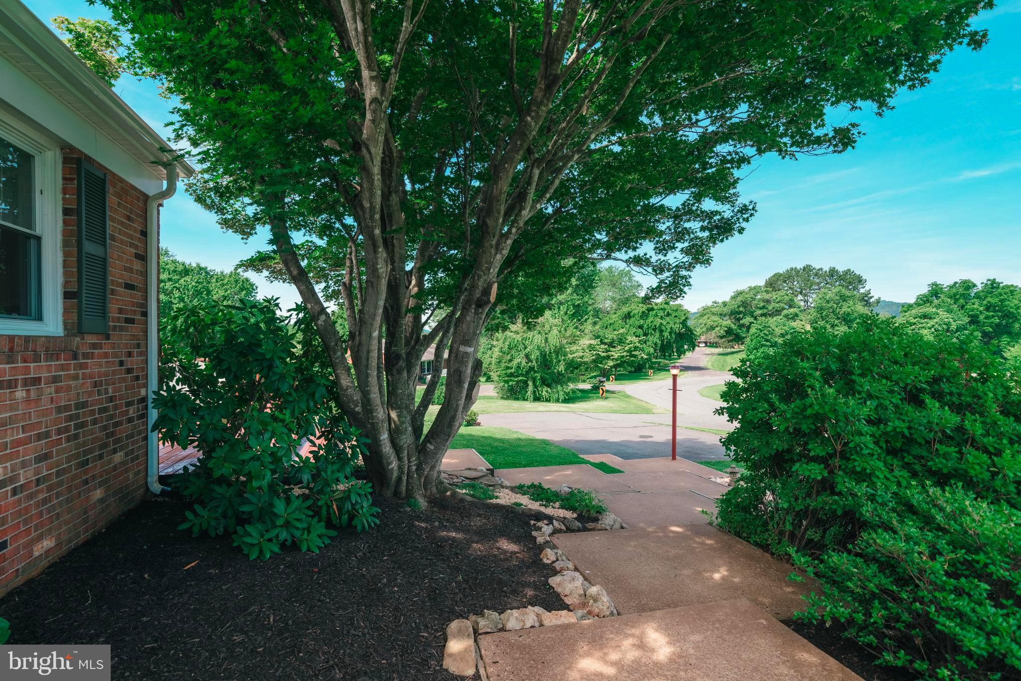 230 Blankenbaker Road Madison, VA 22727 - Photo 48 of 51 Beautifully landscaped