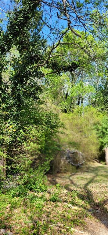 1642 Kersey Valley Road Archdale, NC 27263 - Photo 28 of 34
