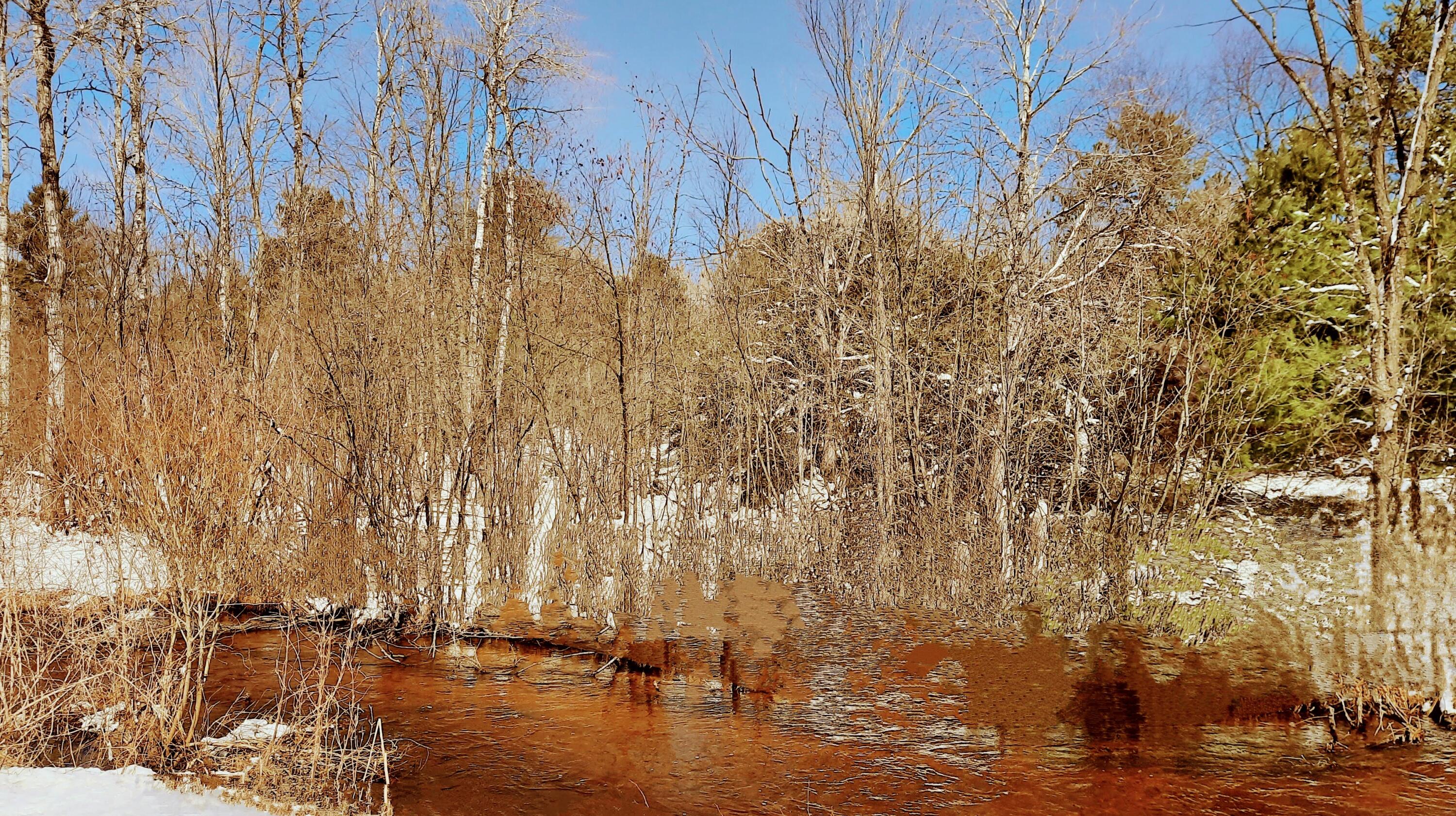 9 9 Mile Road Kaleva, MI 49645 - Photo 3 of 8 Fish Bear Creek ac Street