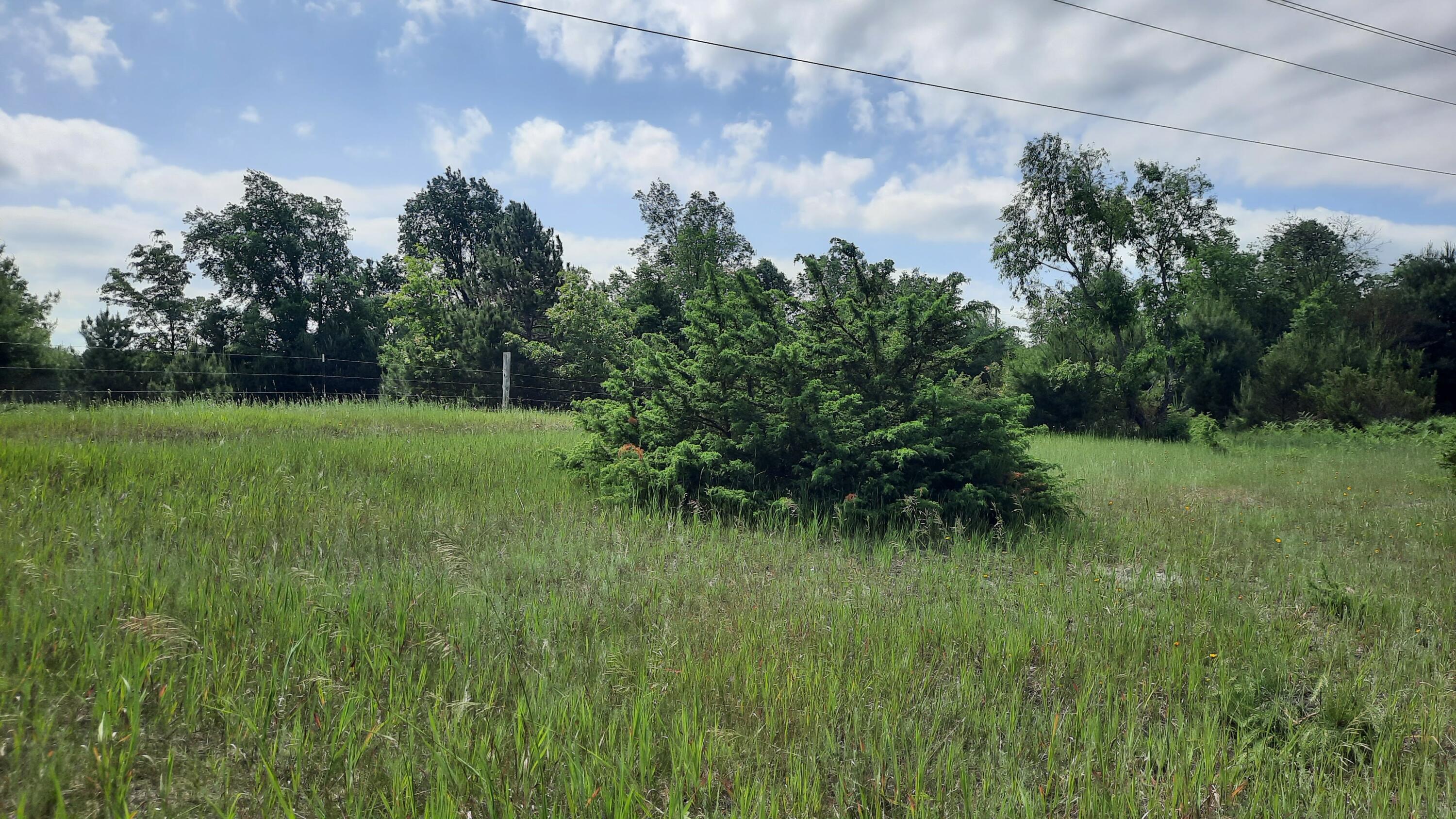 9 9 Mile Road Kaleva, MI 49645 - Photo 6 of 8 Open Fields