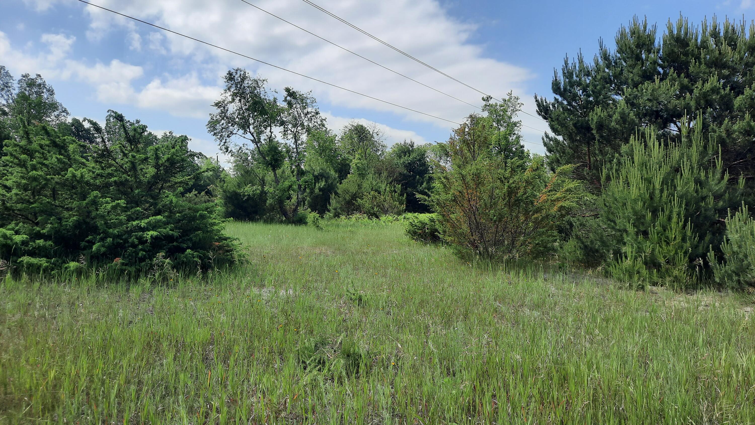 9 9 Mile Road Kaleva, MI 49645 - Photo 7 of 8 Nice