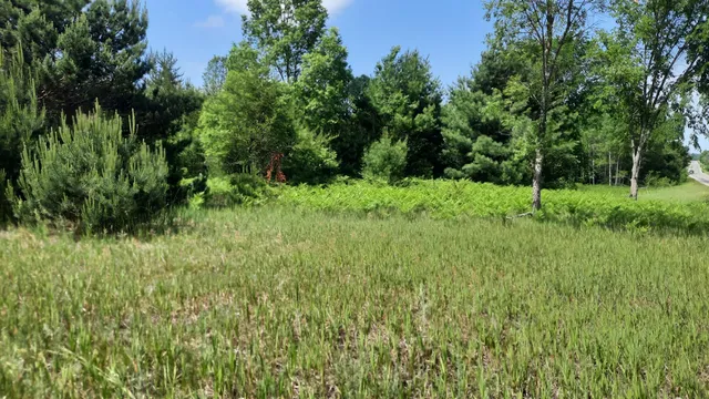 $100,000 | 9 9 Mile Road, Kaleva, MI 49645