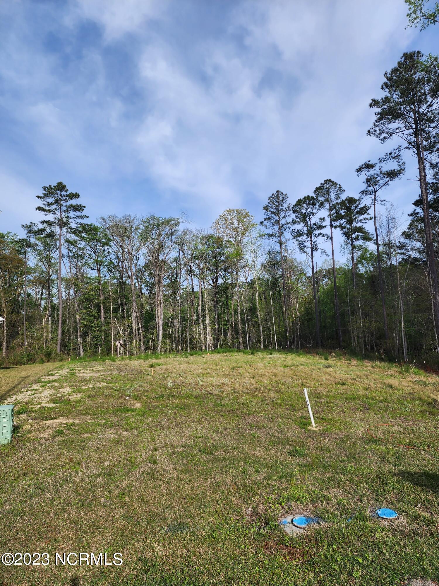 3008 Verdant Ridge New Bern, NC 28562 - Photo 4 of 13 In a cul-de-sac