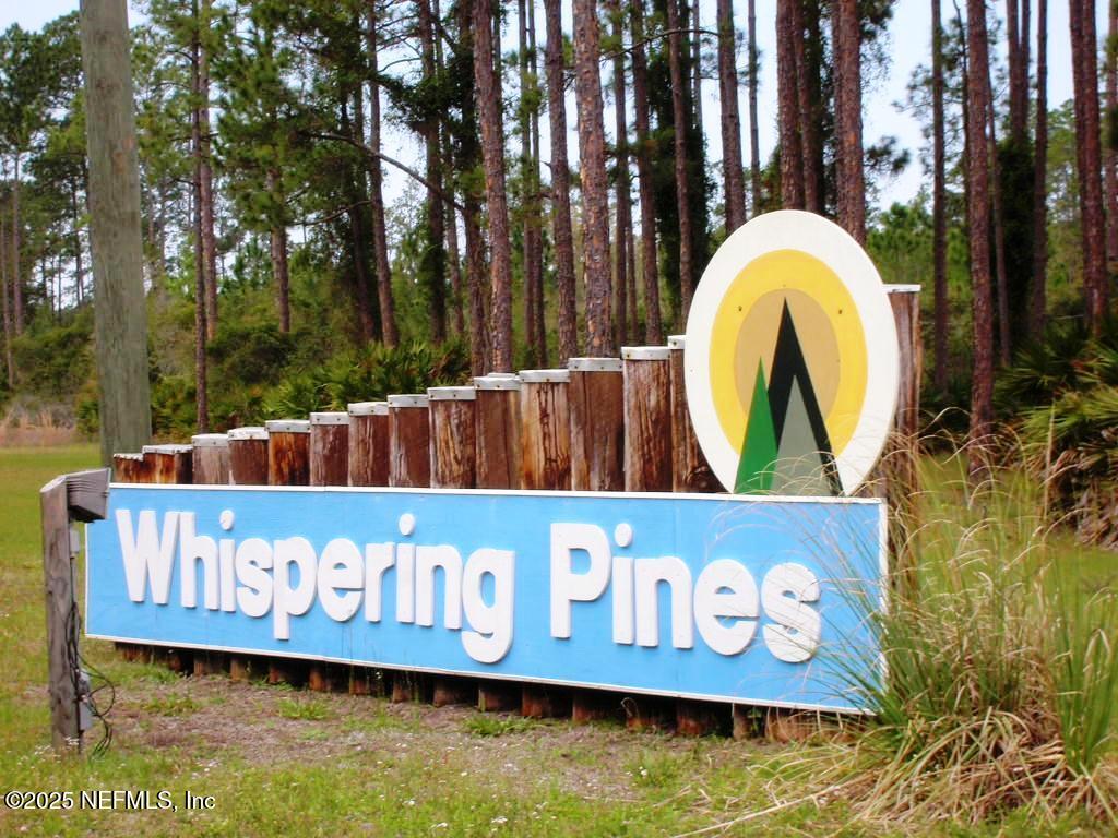 103 Dolphin Drive Georgetown, FL 32139 - Photo 2 of 6 Whispering Pines Sign 1