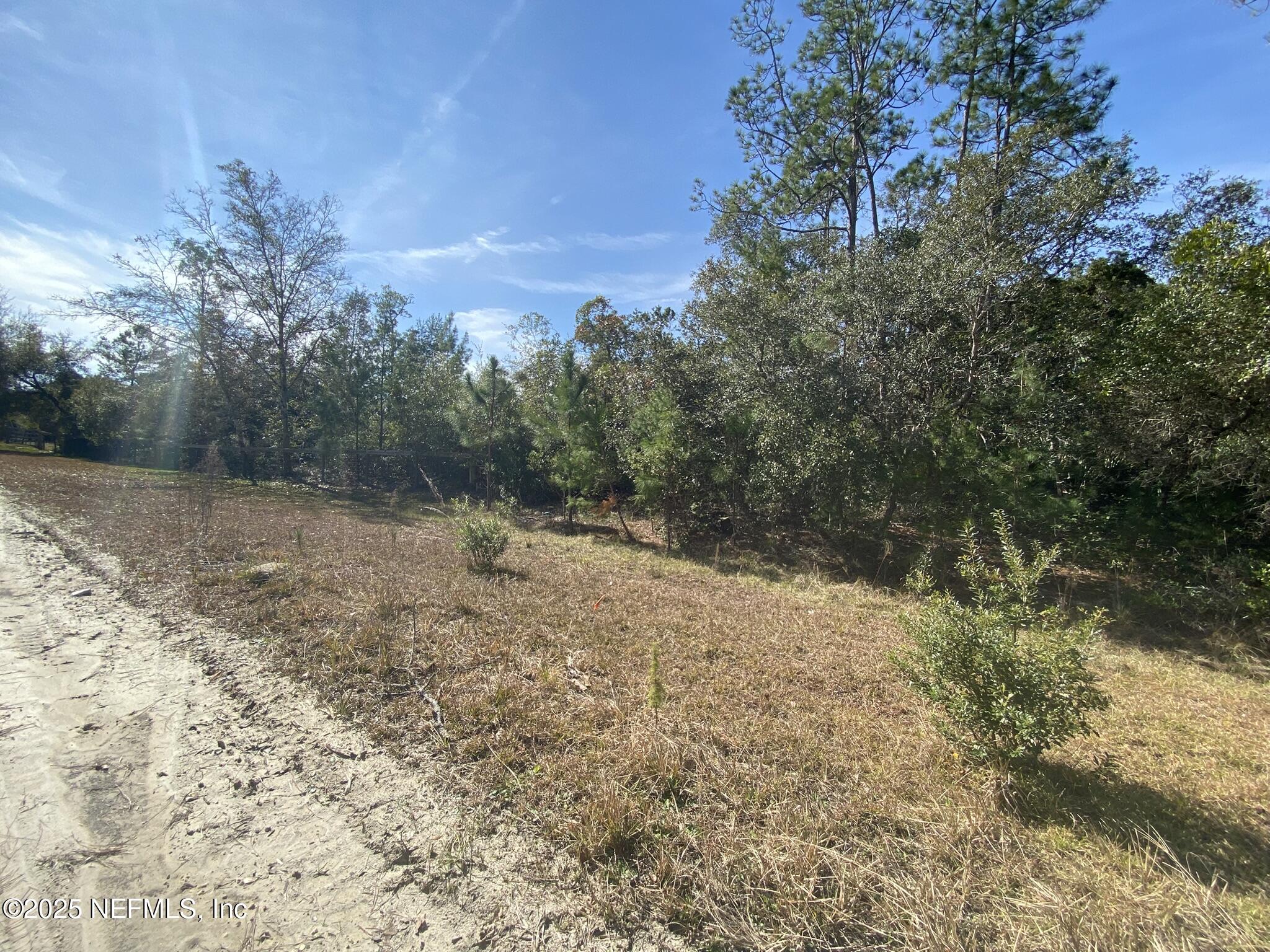 103 Dolphin Drive Georgetown, FL 32139 - Photo 3 of 6 Property 2