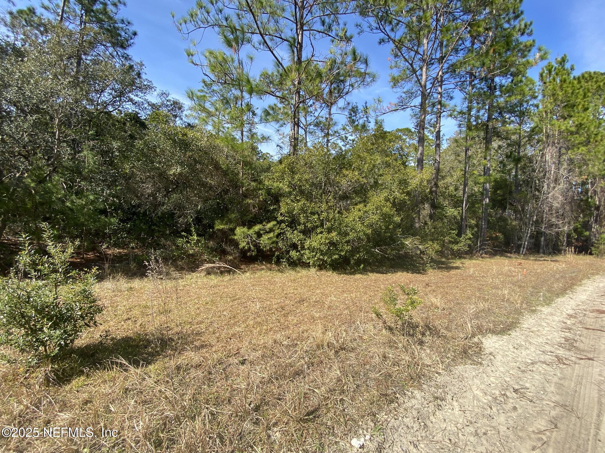 103 Dolphin Drive Georgetown, FL 32139 - Photo 4 of 6 Property 3