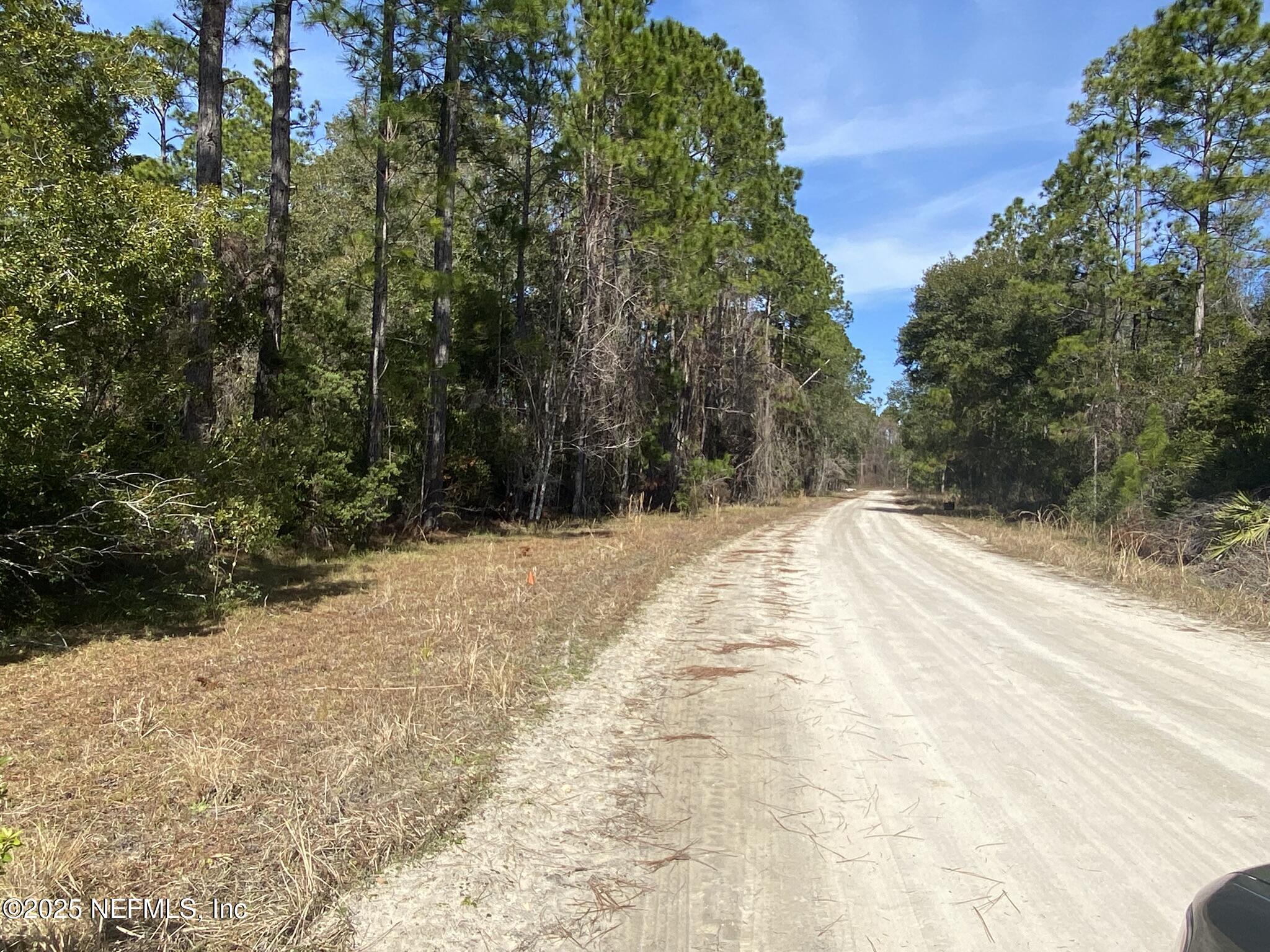 103 Dolphin Drive Georgetown, FL 32139 - Photo 5 of 6 Road to north