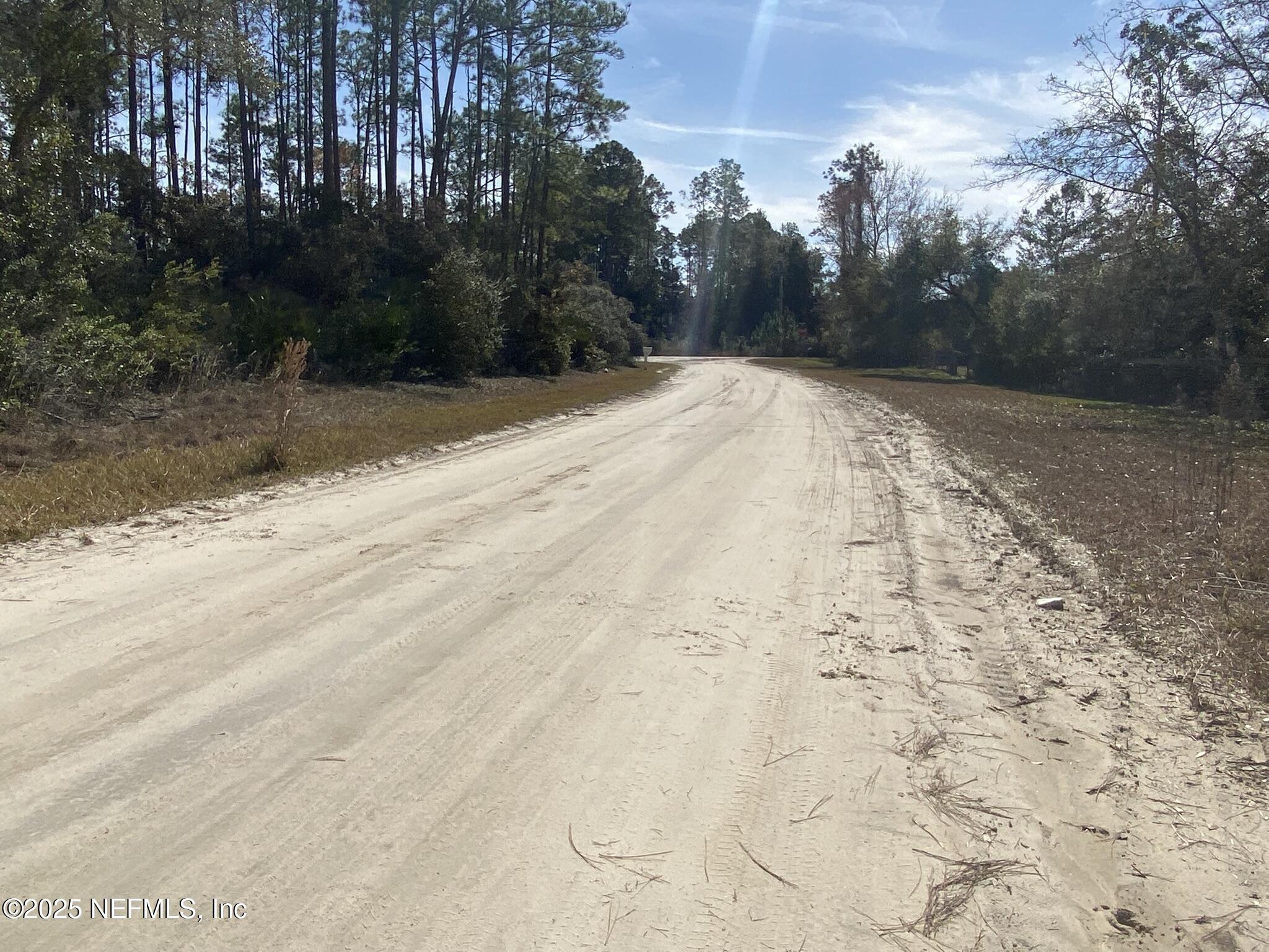 103 Dolphin Drive Georgetown, FL 32139 - Photo 6 of 6 Road to south
