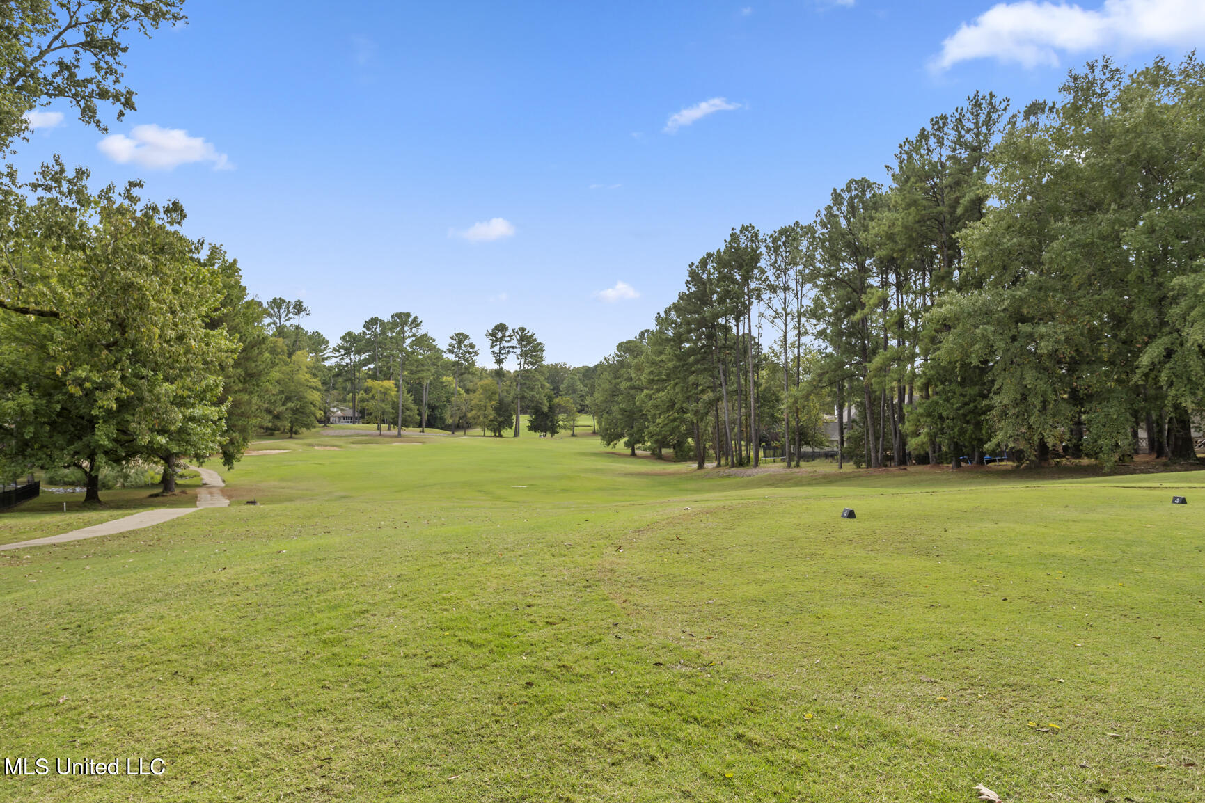 139 Sunflower Road Madison, MS 39110 - Photo 46 of 47 139 Sunflower-43