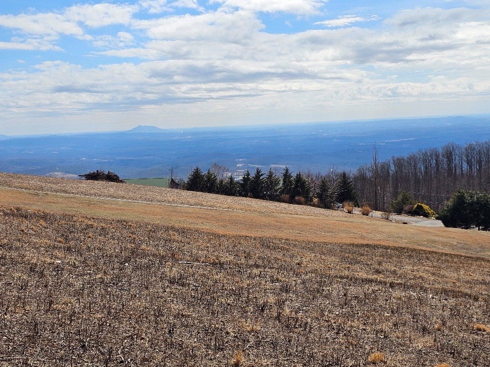 Lot#2 Cabin Ridge Trail, Unit 2 Fancy Gap, VA 24328 - Photo 5 of 9 Gallery Image 5