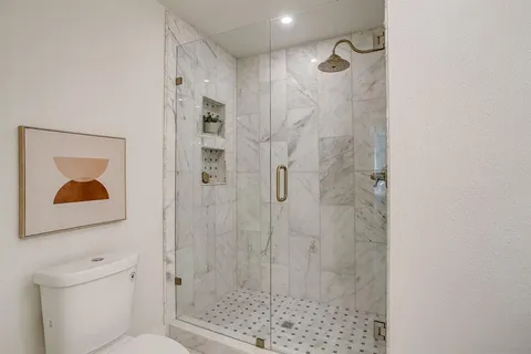 a bathroom with a shower and a toilet