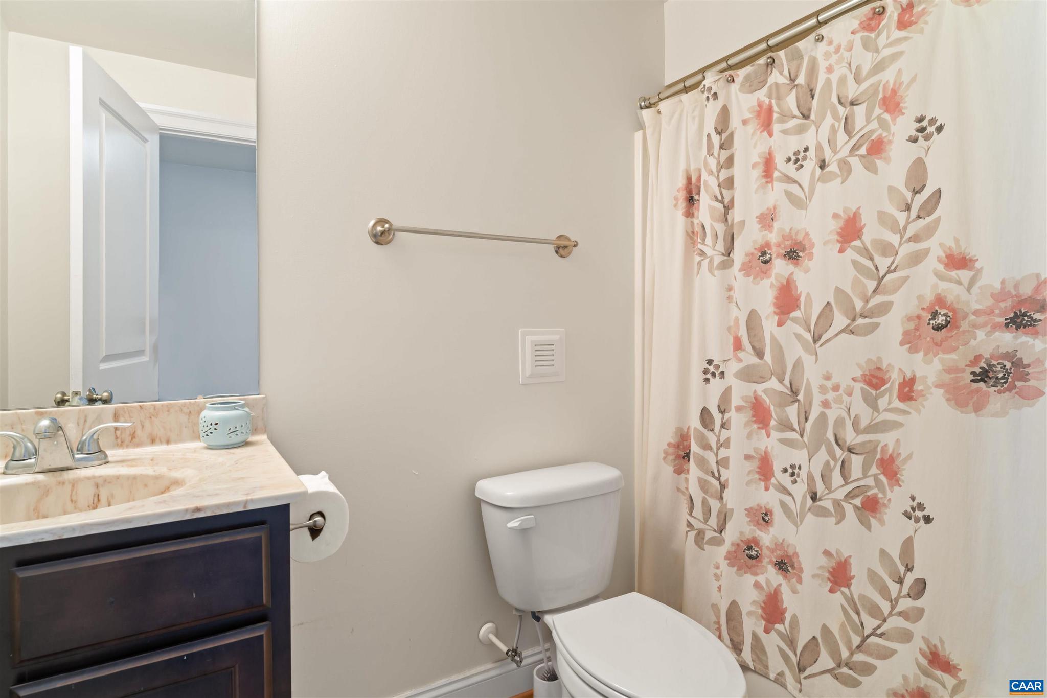 299 North Ridge Way Ruckersville, VA 22968 - Photo 27 of 40