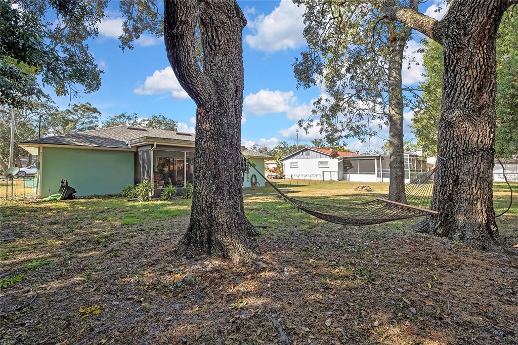 368 Portland Avenue Spring Hill, FL 34606 - Photo 9 of 38 a view of a house with backyard and a tree