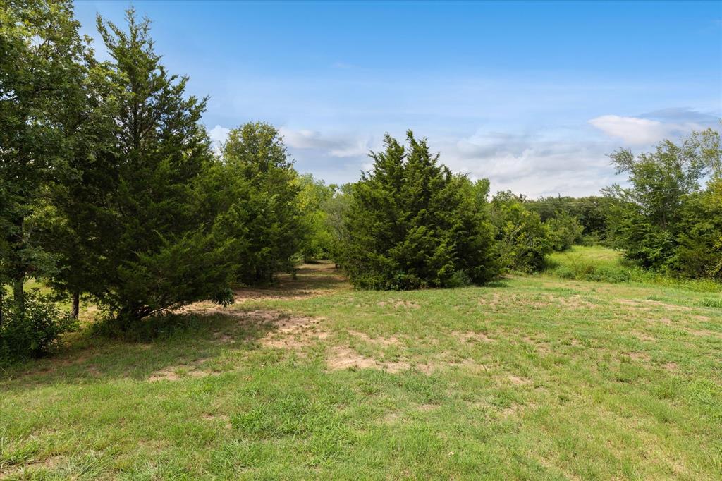 403 Polk Road Bowie, TX 76230 - Photo 31 of 36 a view of field with large trees