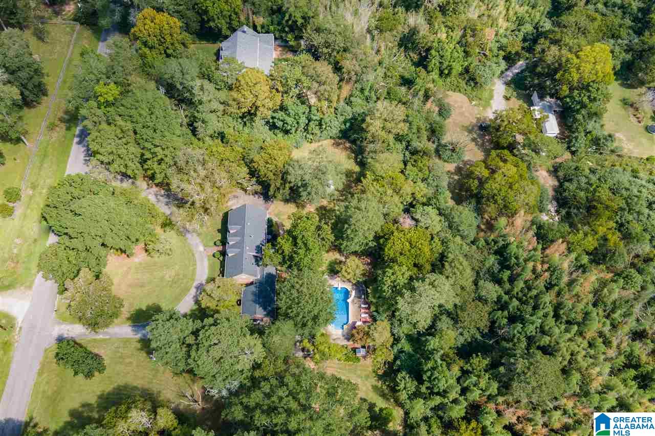 3115 Old Ivy Road Birmingham, AL 35210 - Photo 48 of 50