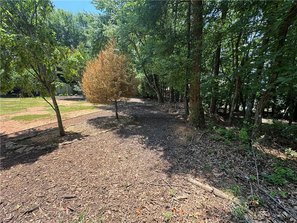 0 Bethel Road Gainesville, GA 30506 - Photo 10 of 12