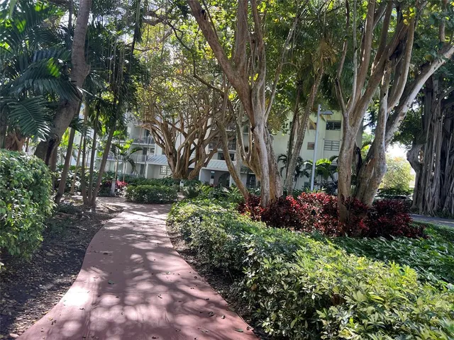a view of outdoor space with palm trees