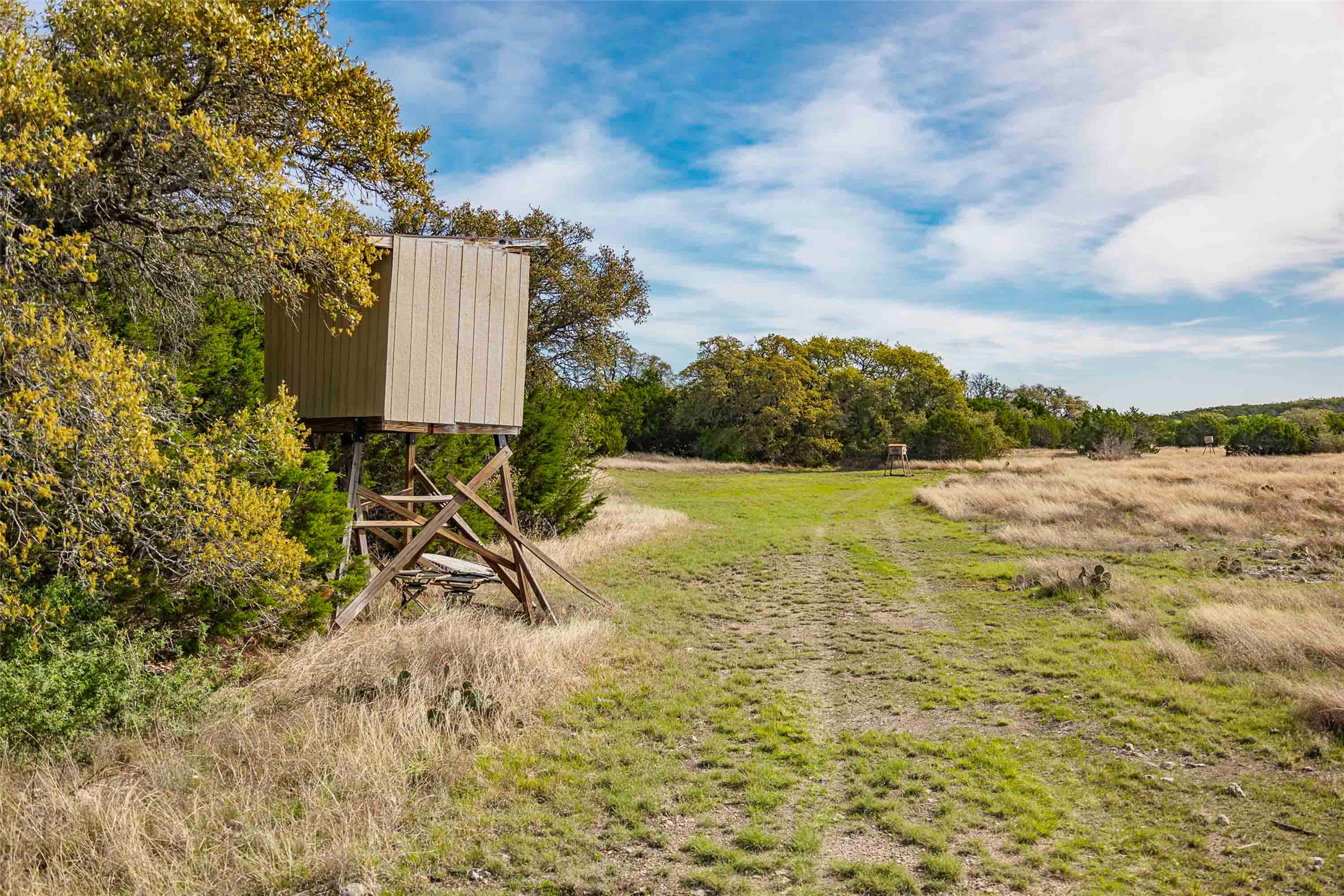 Tbd Saddle Ridge Drive Bertram, TX 78605 - Photo 12 of 40 a view of a yard with an outdoor space