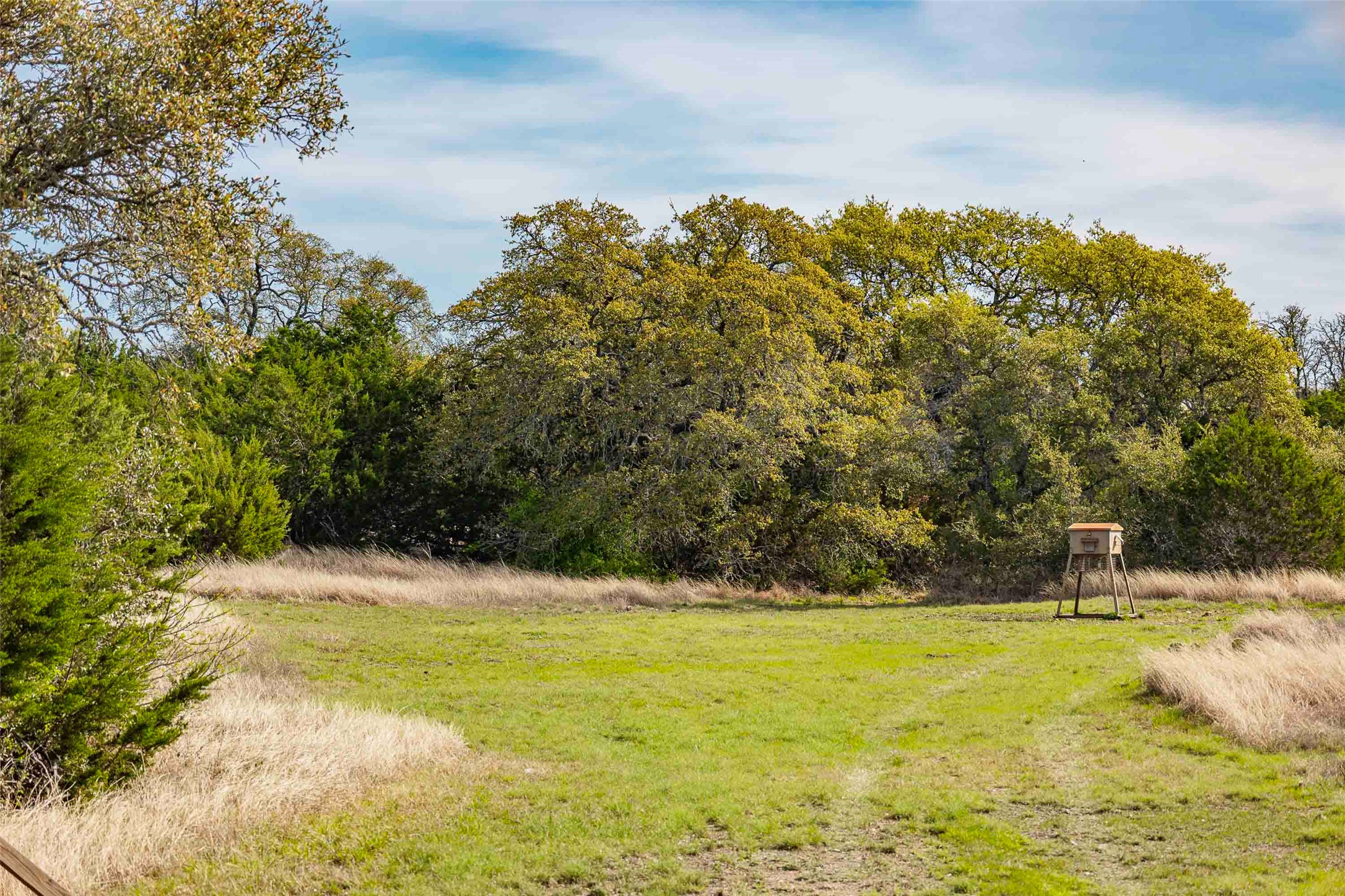 Tbd Saddle Ridge Drive Bertram, TX 78605 - Photo 13 of 40 a view of yard with swimming pool