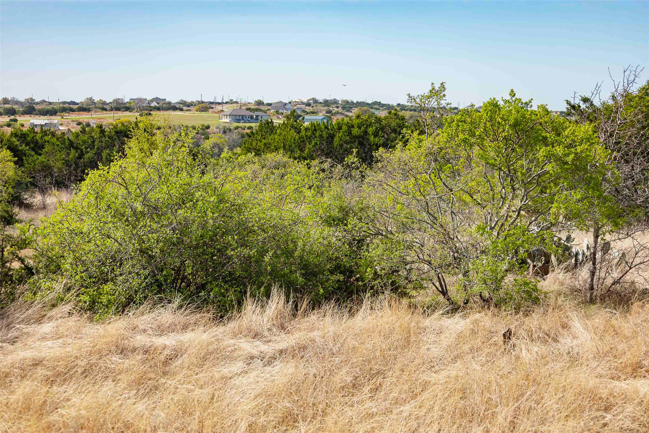 Tbd Saddle Ridge Drive Bertram, TX 78605 - Photo 14 of 40 a view of ocean view