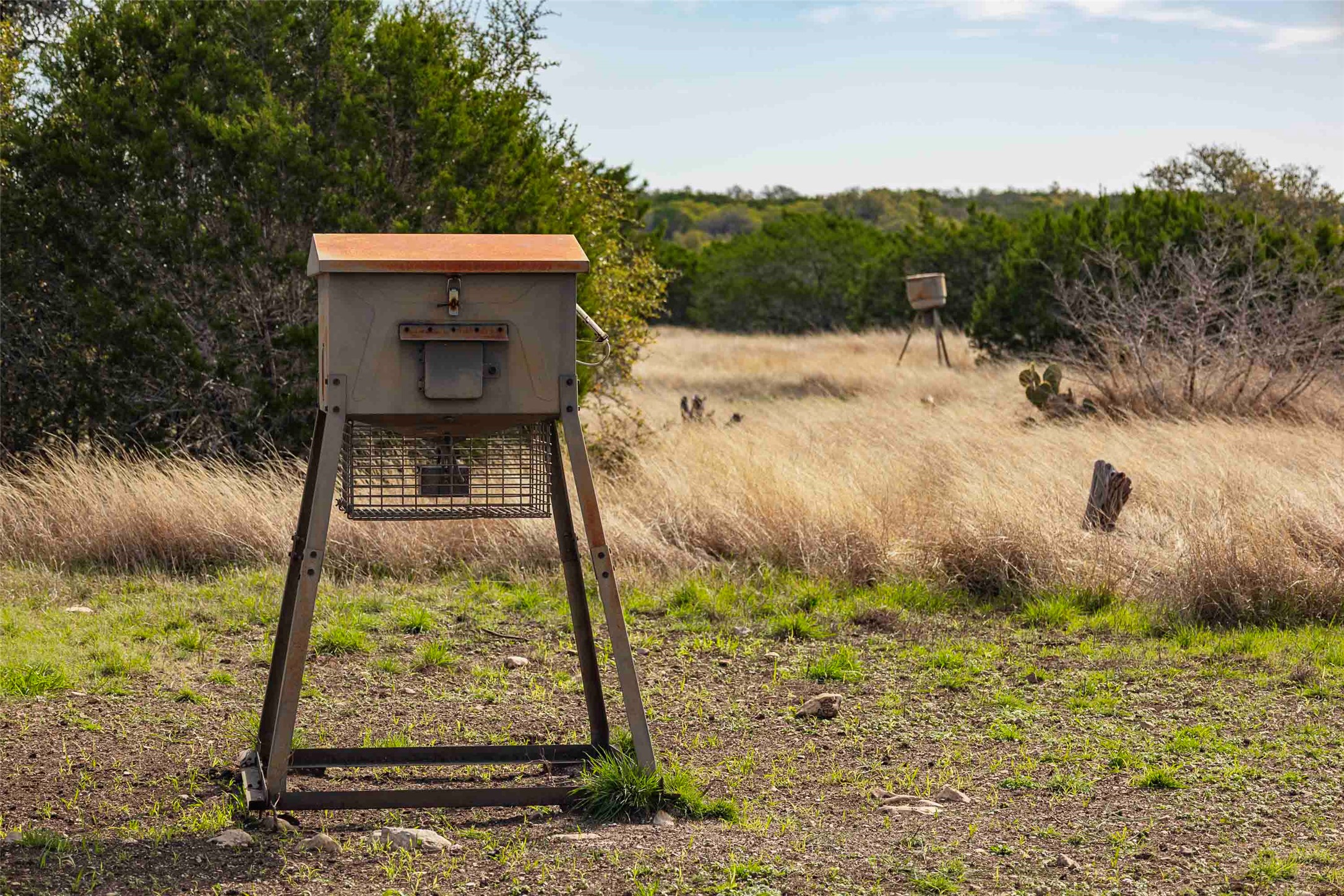 Tbd Saddle Ridge Drive Bertram, TX 78605 - Photo 15 of 40 a view of a back yard