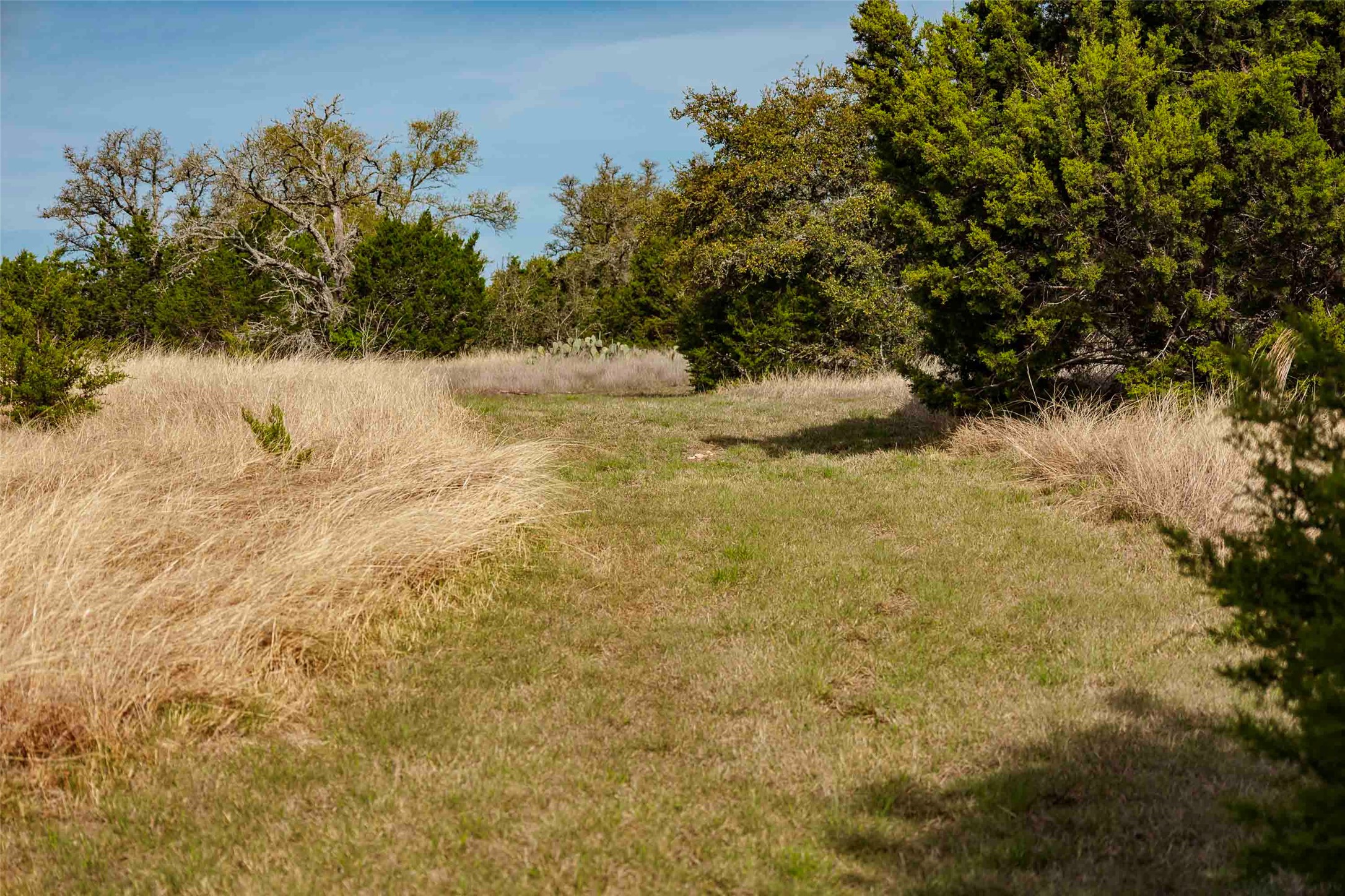 Tbd Saddle Ridge Drive Bertram, TX 78605 - Photo 17 of 40 a view of ocean view