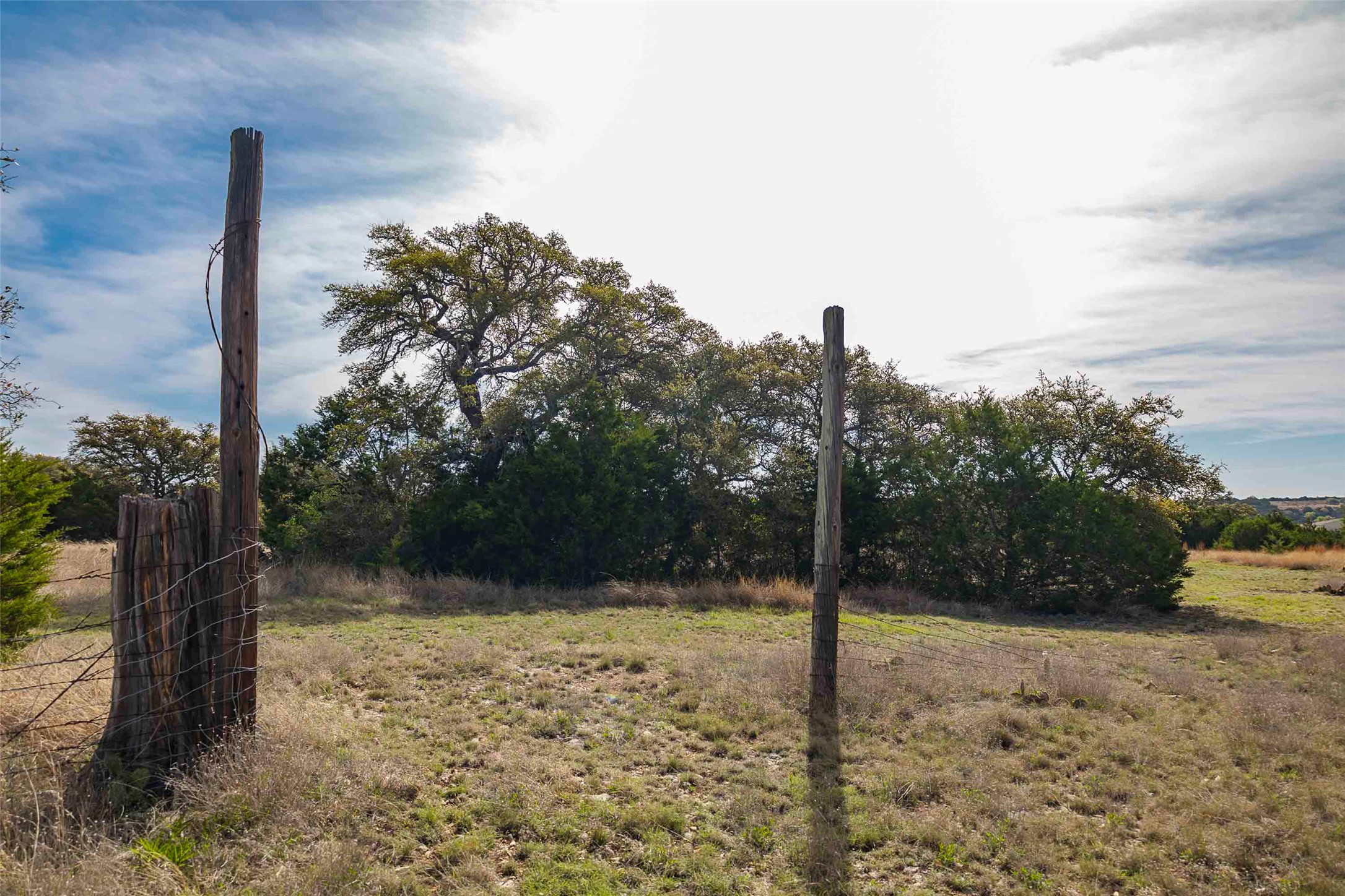 Tbd Saddle Ridge Drive Bertram, TX 78605 - Photo 22 of 40 a view of a road with a tree in the background