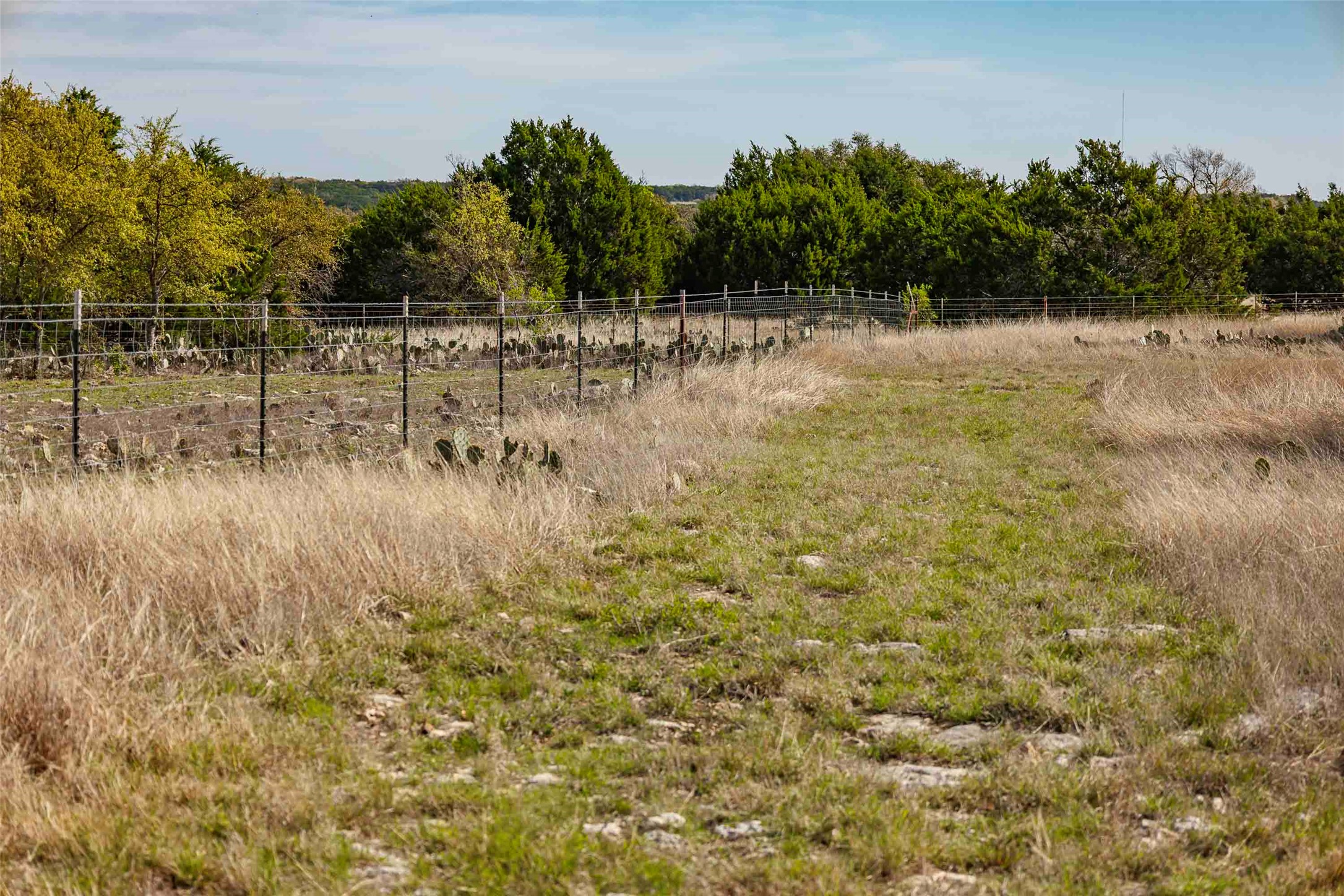 Tbd Saddle Ridge Drive Bertram, TX 78605 - Photo 25 of 40 a view of a yard