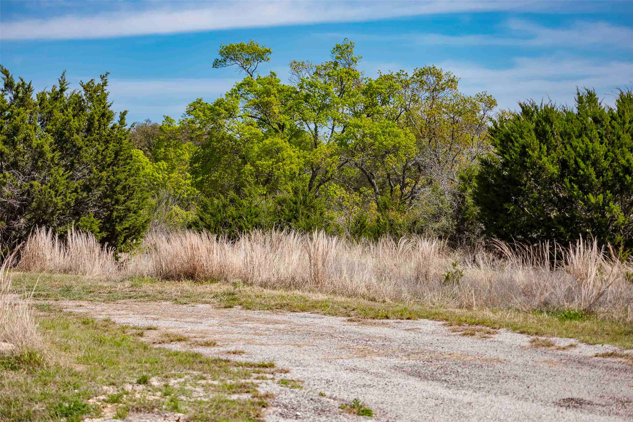Tbd Saddle Ridge Drive Bertram, TX 78605 - Photo 3 of 40 a view of a yard