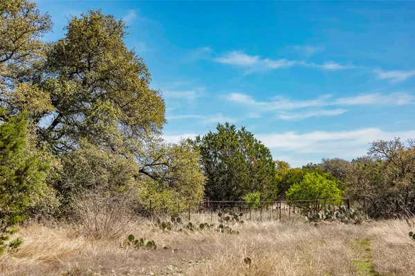 a view of a dry yard with trees