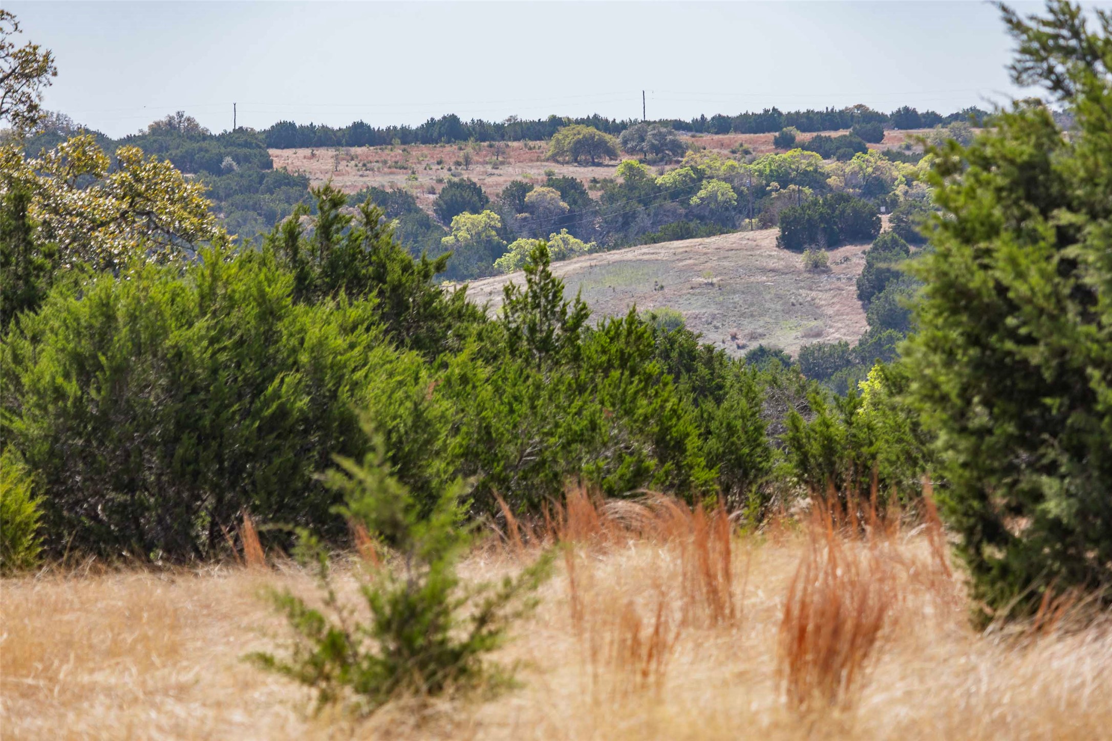 Tbd Saddle Ridge Drive Bertram, TX 78605 - Photo 36 of 40 a view of a yard with a tree