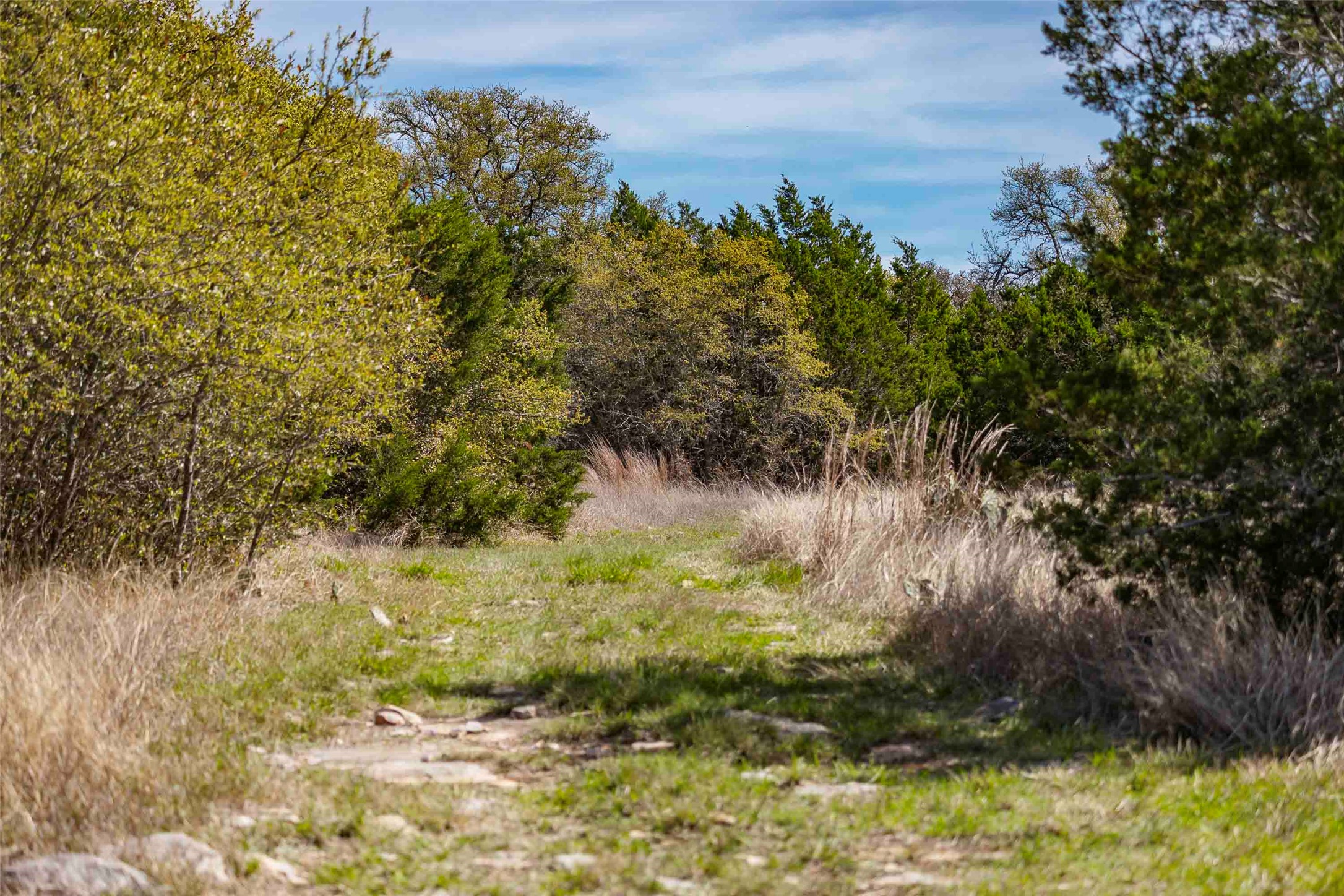 Tbd Saddle Ridge Drive Bertram, TX 78605 - Photo 5 of 40 a view of a lake with a yard