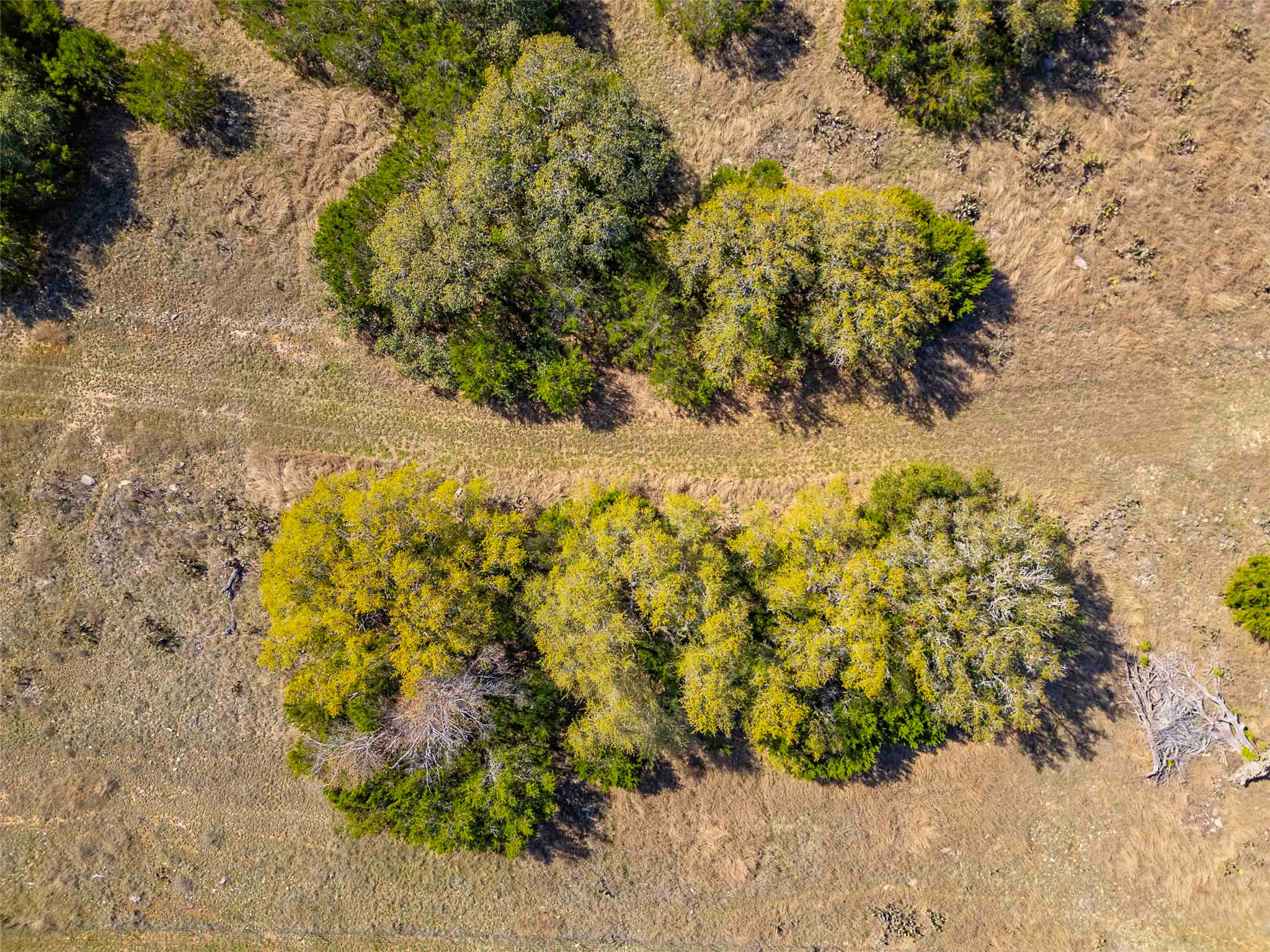 Tbd Saddle Ridge Drive Bertram, TX 78605 - Photo 9 of 40 a view of a garden with plants and large trees