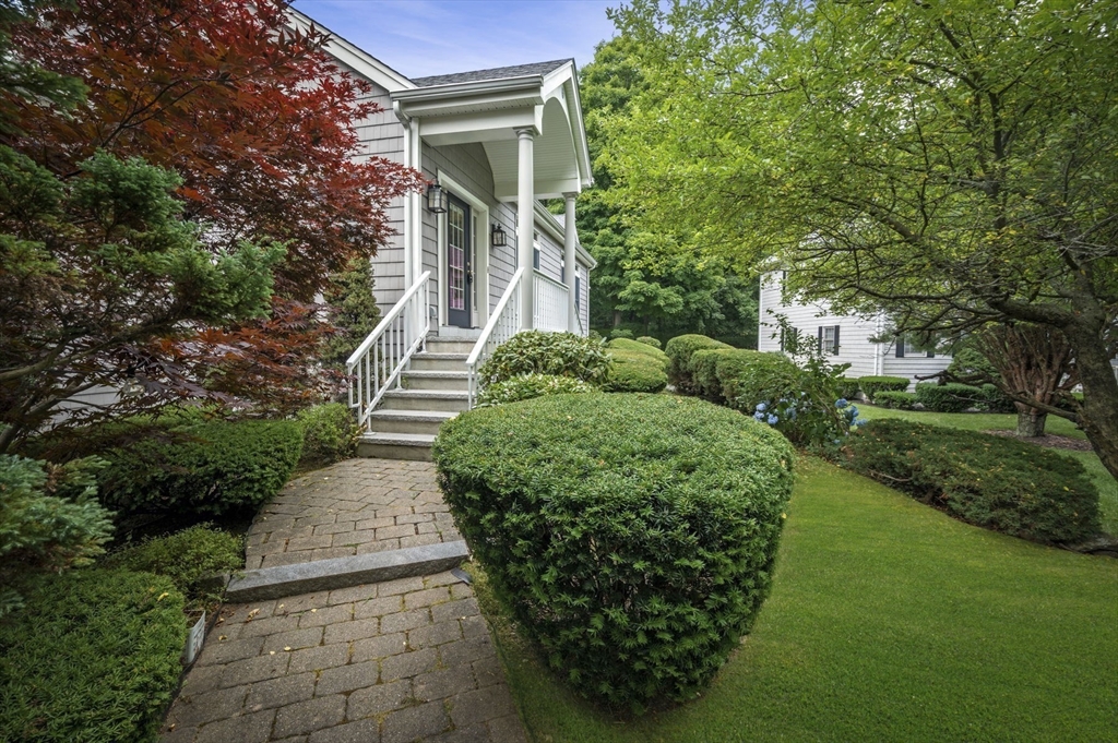 209 Maple Street Danvers, MA 01923 - Photo 6 of 42 a view of a garden with pathway