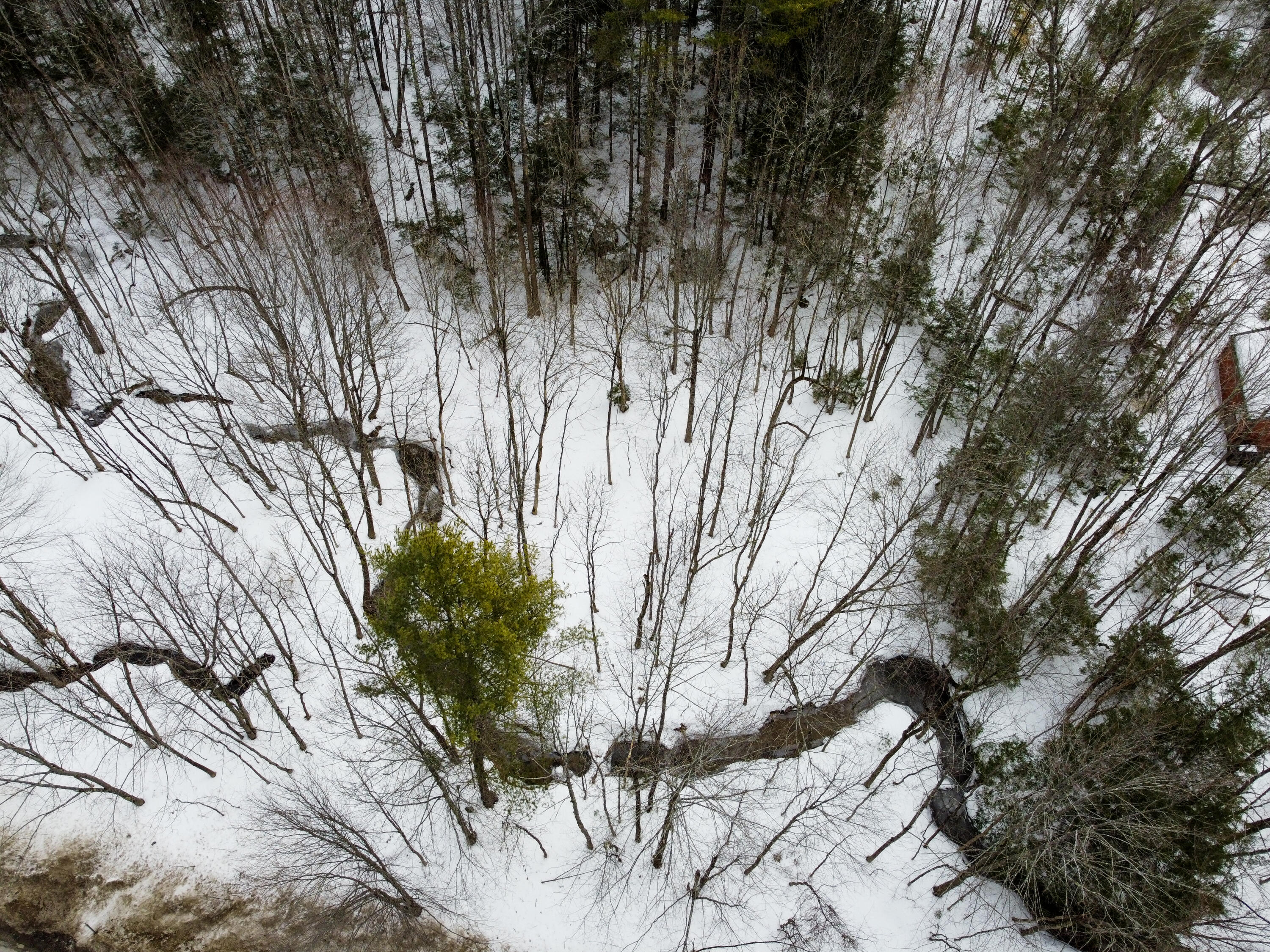 123 Poland Spring Road Casco, ME 04015 - Photo 8 of 13 DJI_0358