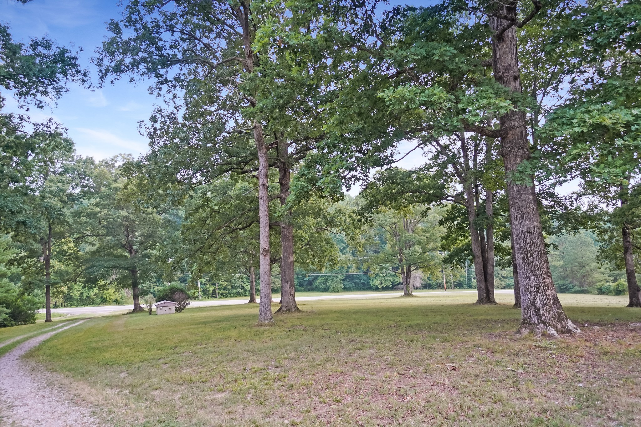 2840 South Main Street Tennessee Ridge, TN 37178 - Photo 31 of 44 a view of a tree in the middle of a yard