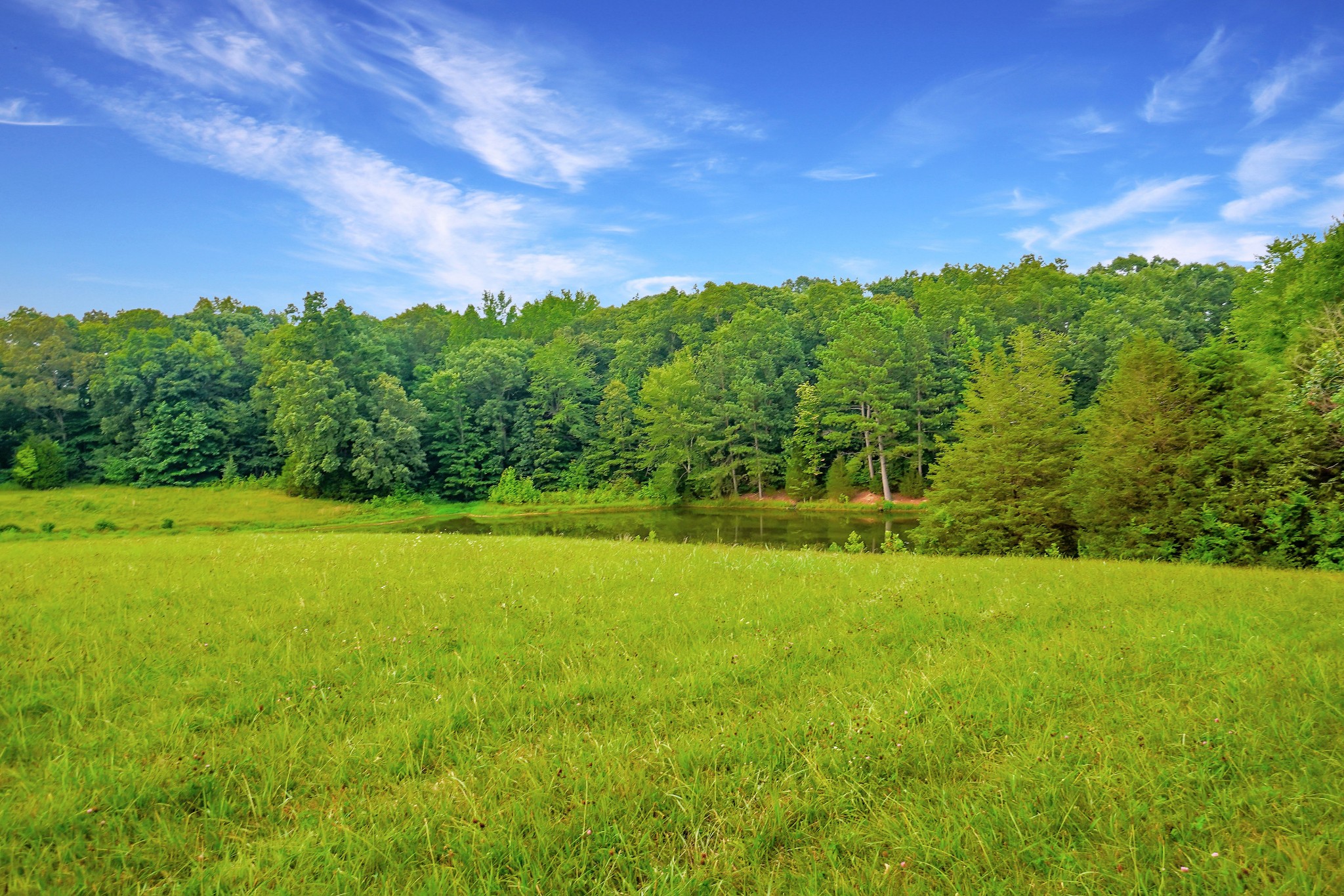 2840 South Main Street Tennessee Ridge, TN 37178 - Photo 36 of 44 a view of a big yard with a large trees