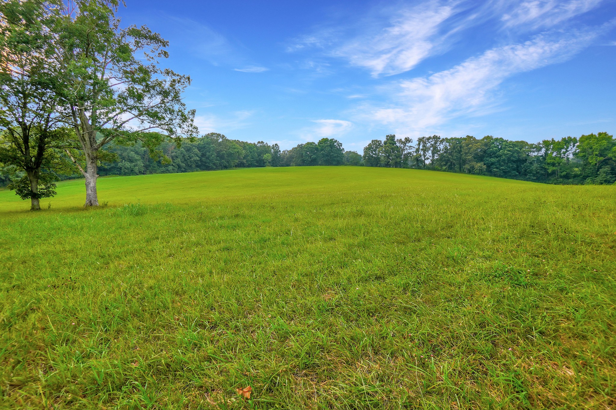 2840 South Main Street Tennessee Ridge, TN 37178 - Photo 38 of 44 a view of a green field with clear sky