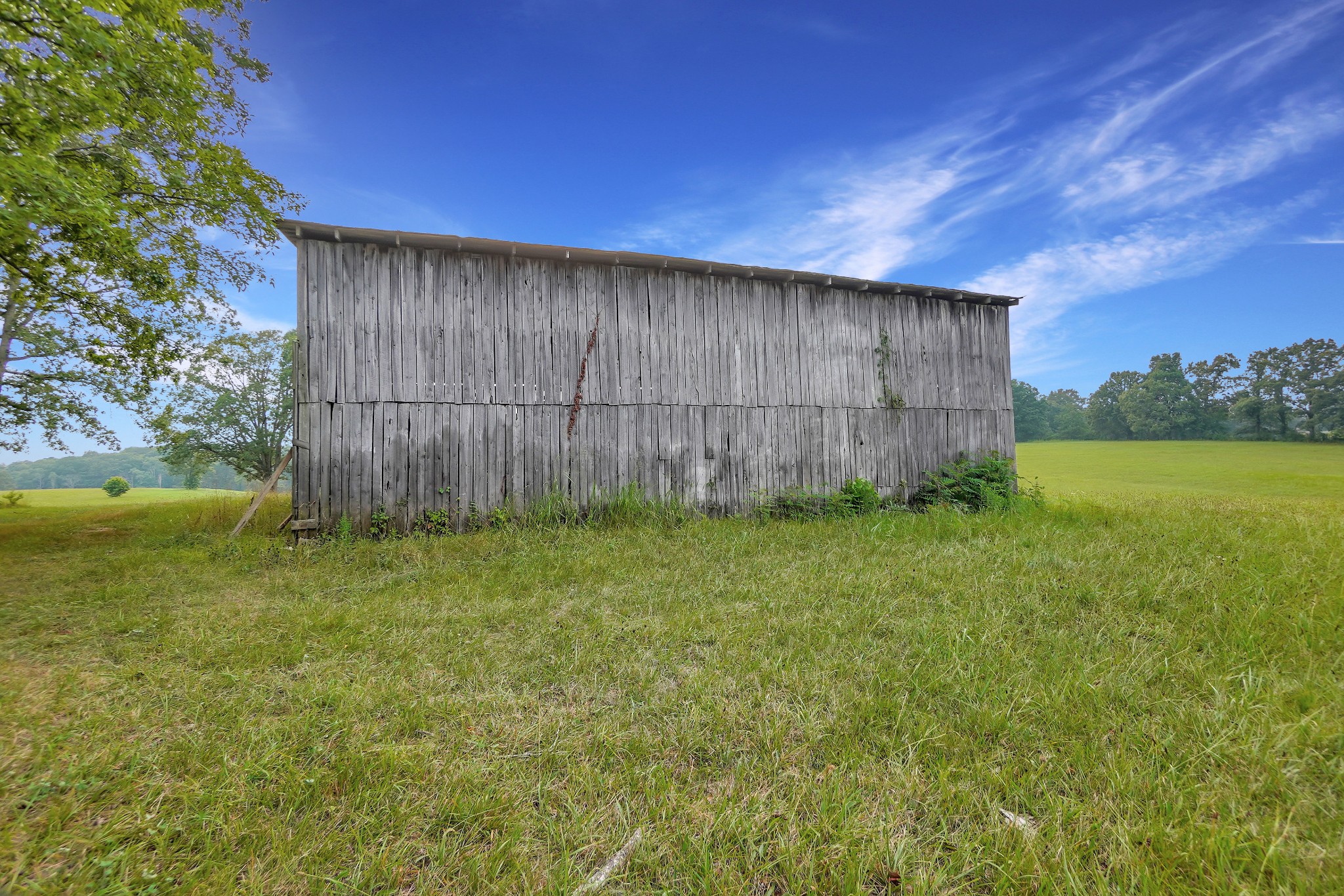 2840 South Main Street Tennessee Ridge, TN 37178 - Photo 5 of 44 a view of a backyard with a tree