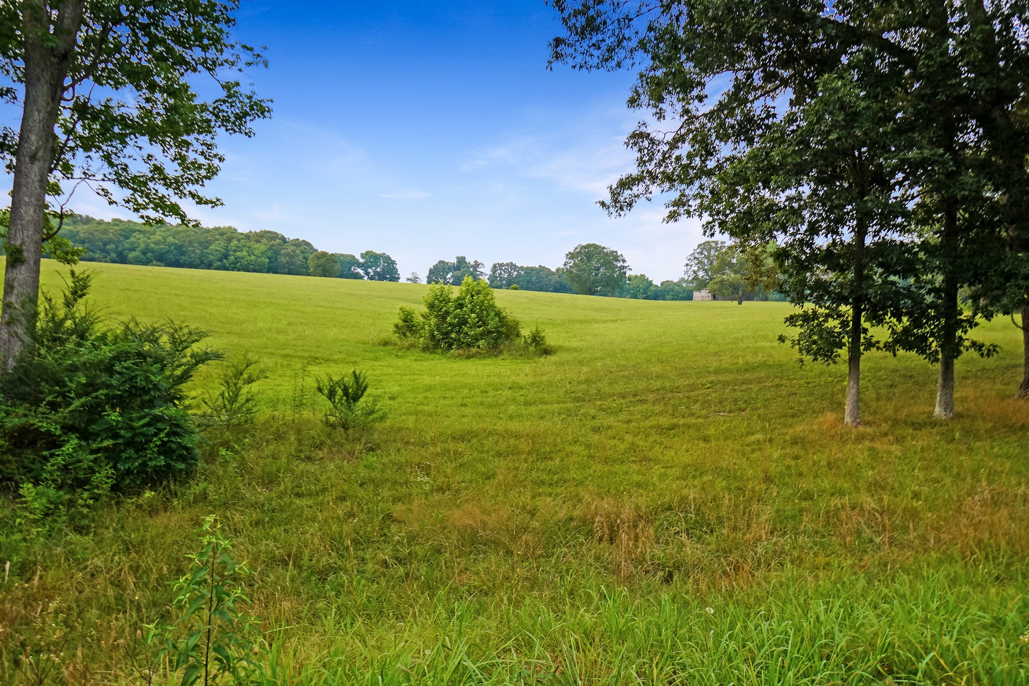 2840 South Main Street Tennessee Ridge, TN 37178 - Photo 9 of 44 a view of an ocean from a yard