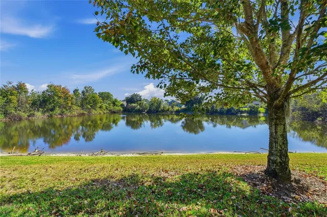 a view of a swimming pool with a garden