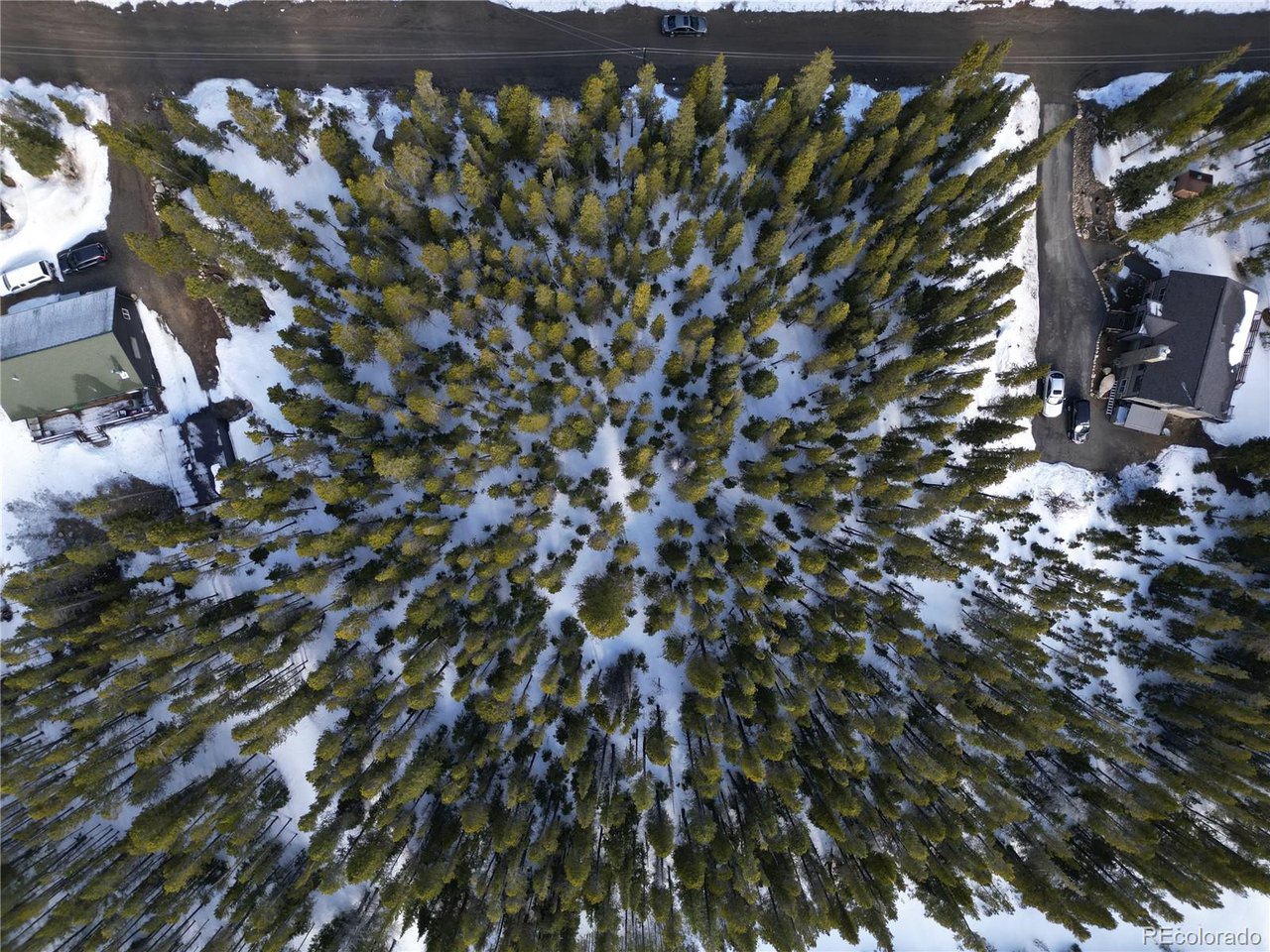 209 Upper Forest Road Idaho Springs, CO 80452 - Photo 22 of 24