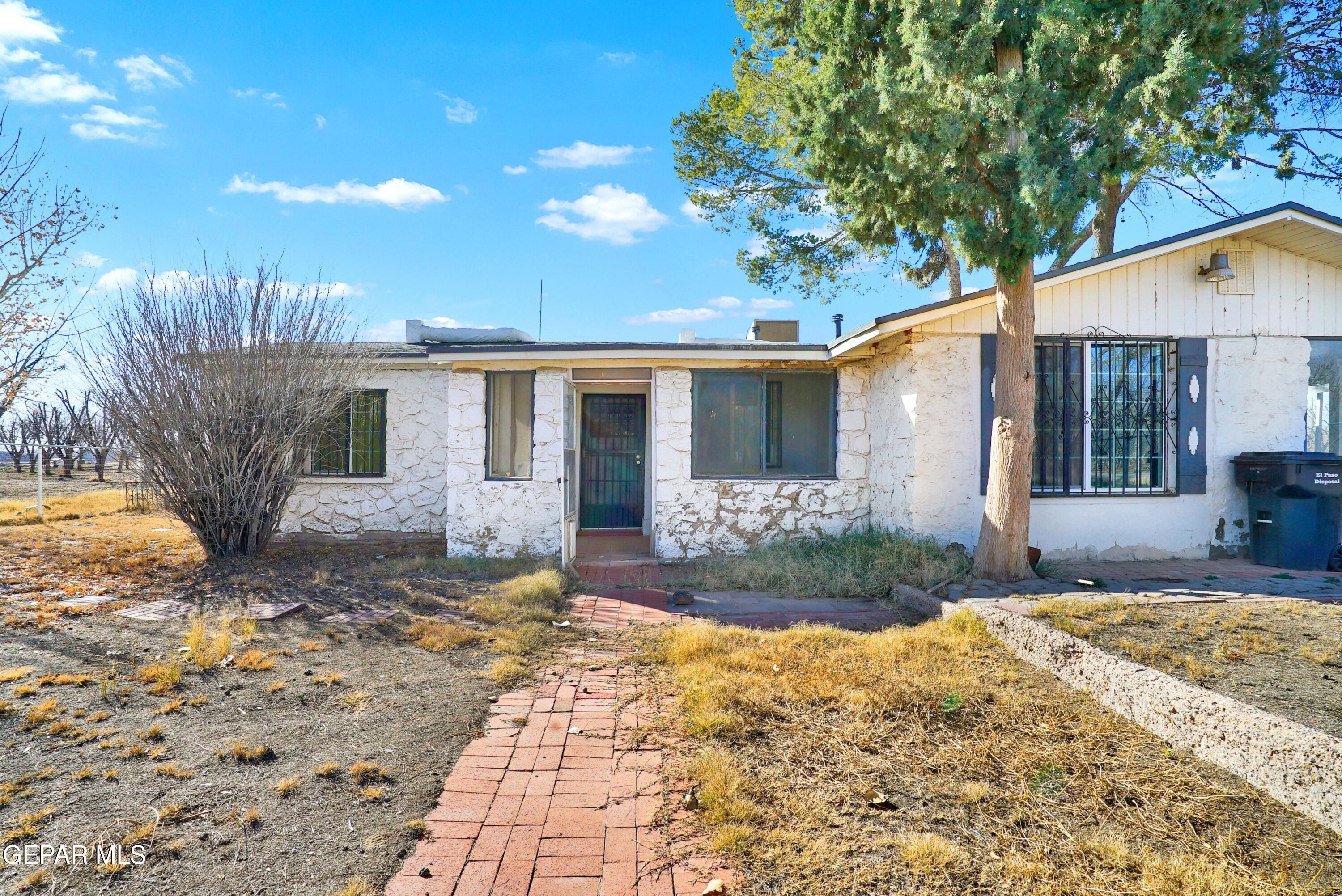 1501 Highway 28 Anthony, NM 88021 - Photo 38 of 44 DSC07509