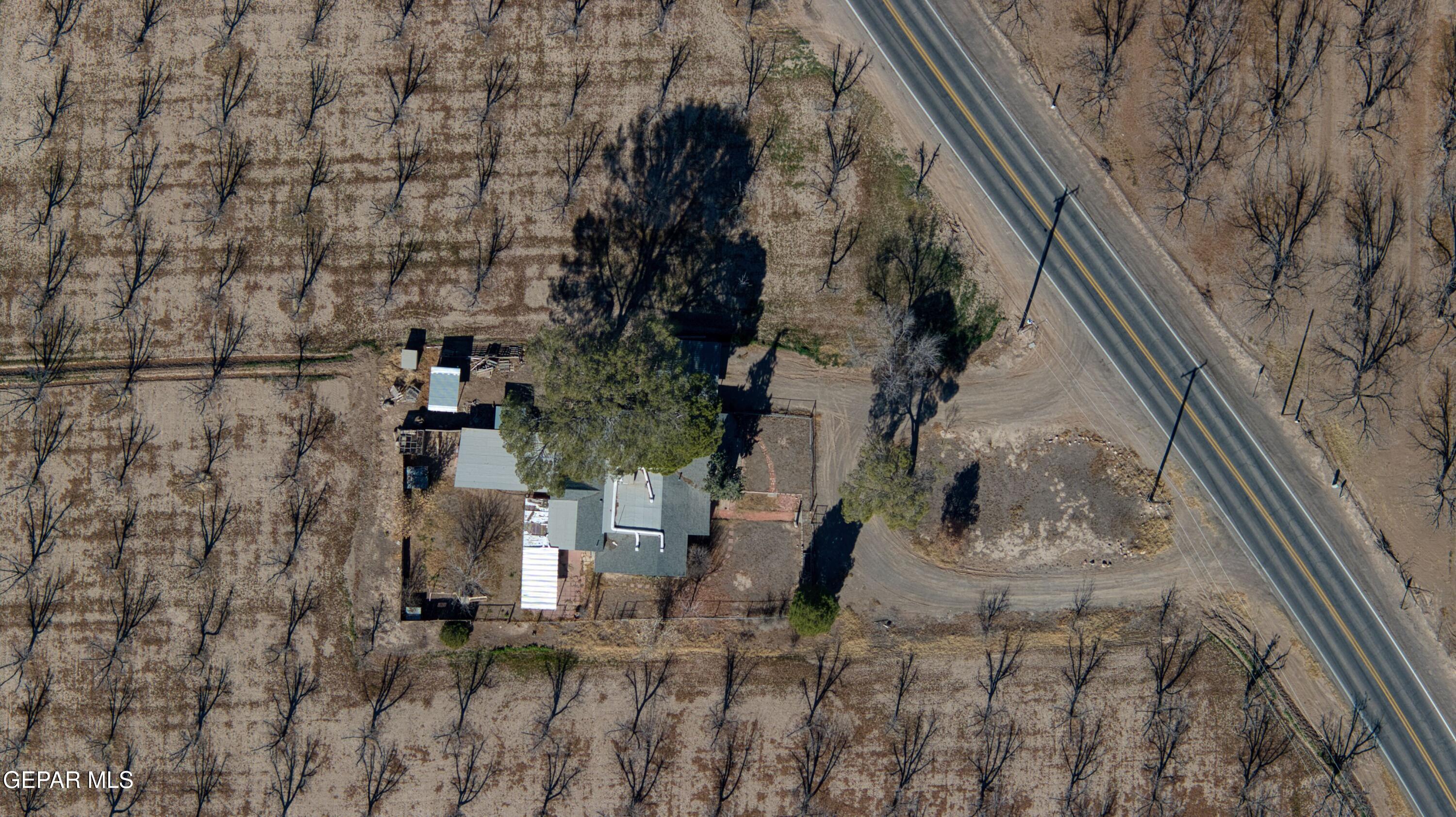 1501 Highway 28 Anthony, NM 88021 - Photo 4 of 44 4