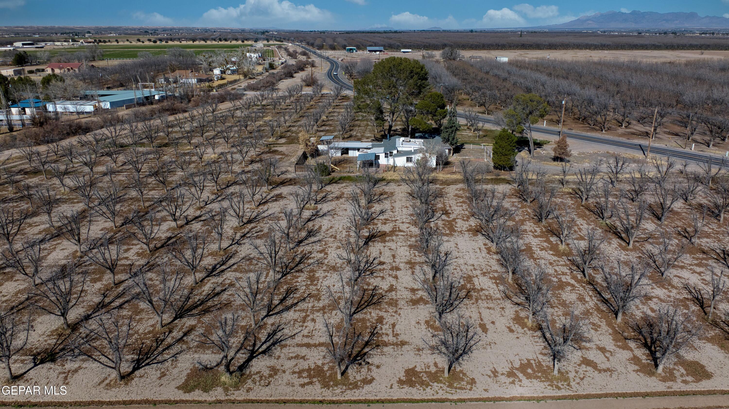 1501 Highway 28 Anthony, NM 88021 - Photo 43 of 44 6