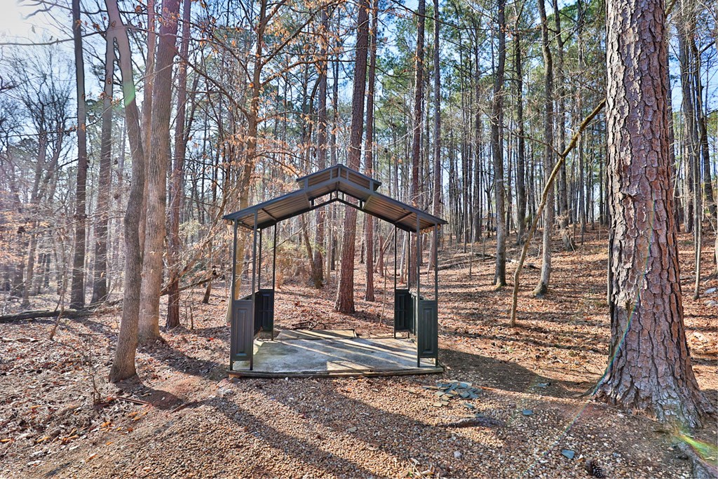 1236 Martin Road Hamilton, GA 31811 - Photo 31 of 33 a view of street along with trees
