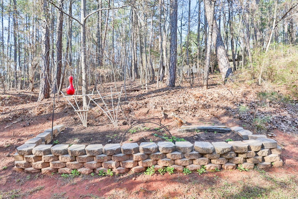 1236 Martin Road Hamilton, GA 31811 - Photo 32 of 33 a view of entryway with yard