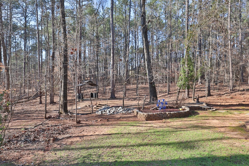 1236 Martin Road Hamilton, GA 31811 - Photo 33 of 33 a view of fountain with a tree in the background