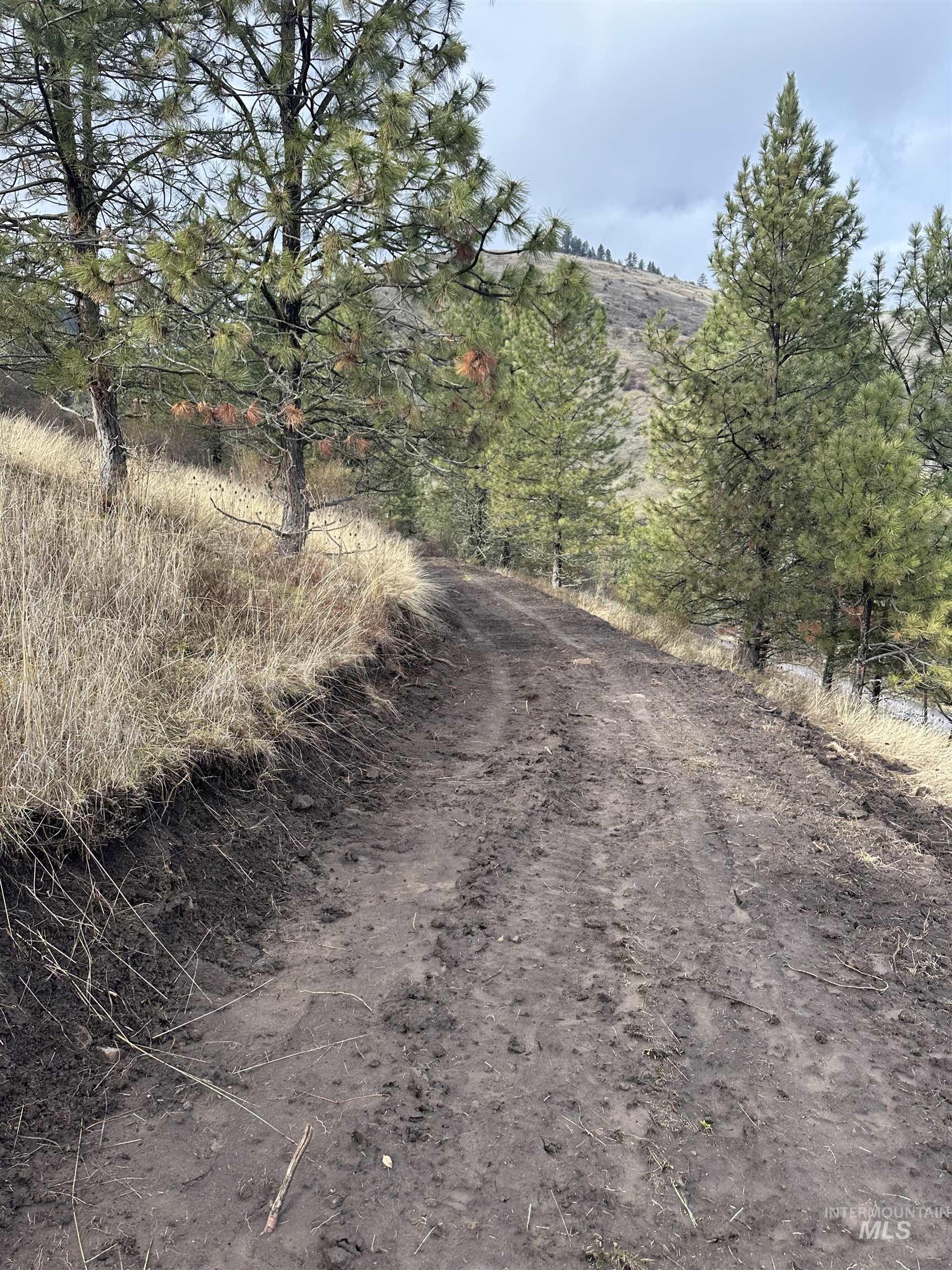 Tbd Canyon Drive Kooskia, ID 83539 - Photo 14 of 33 View of road